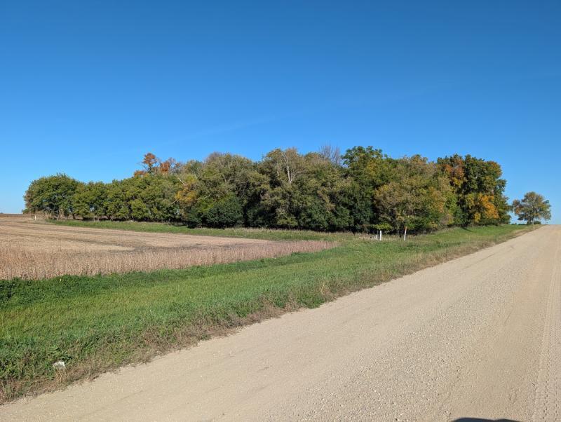 main property photo 8