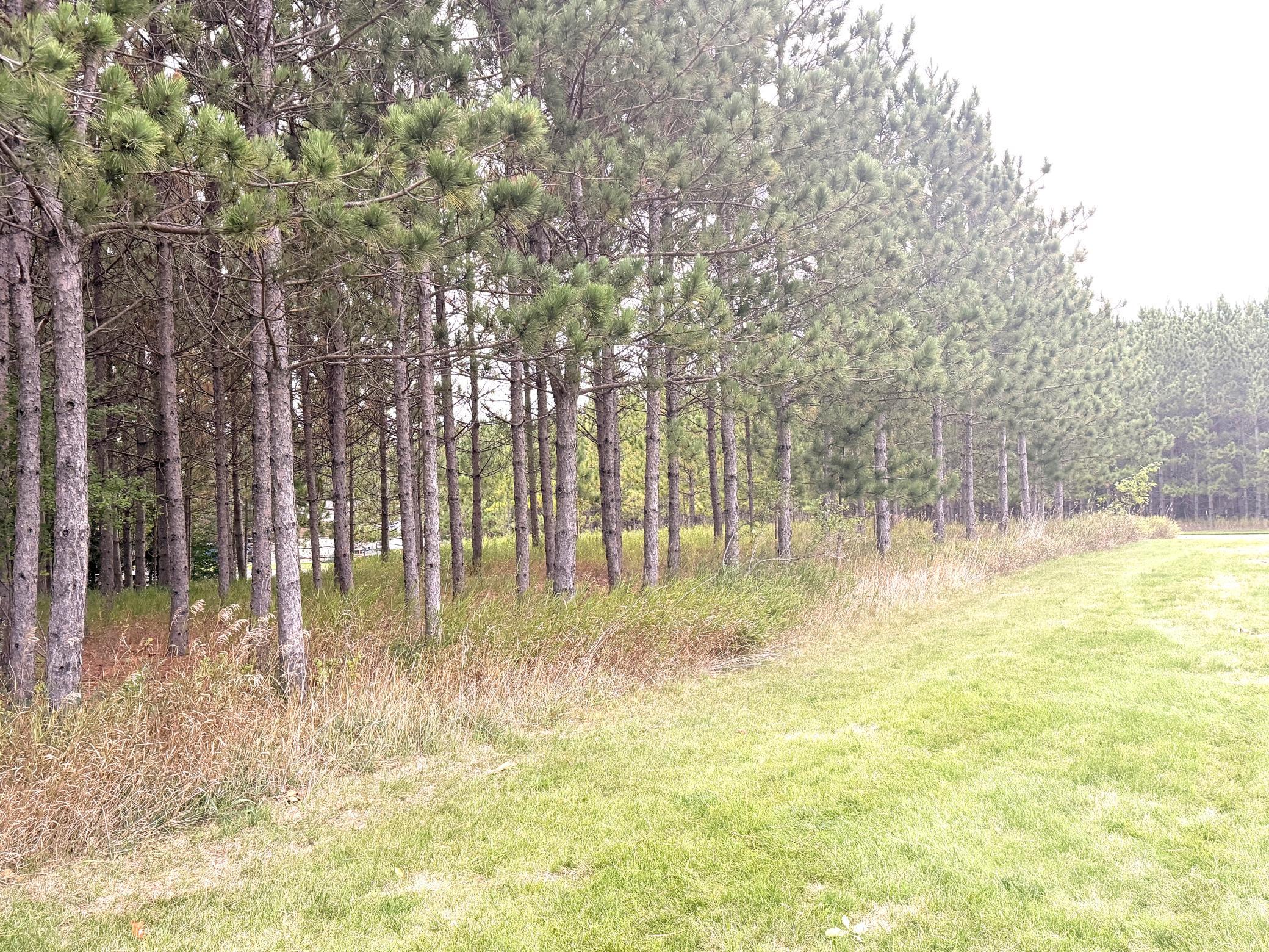 main property photo 53
