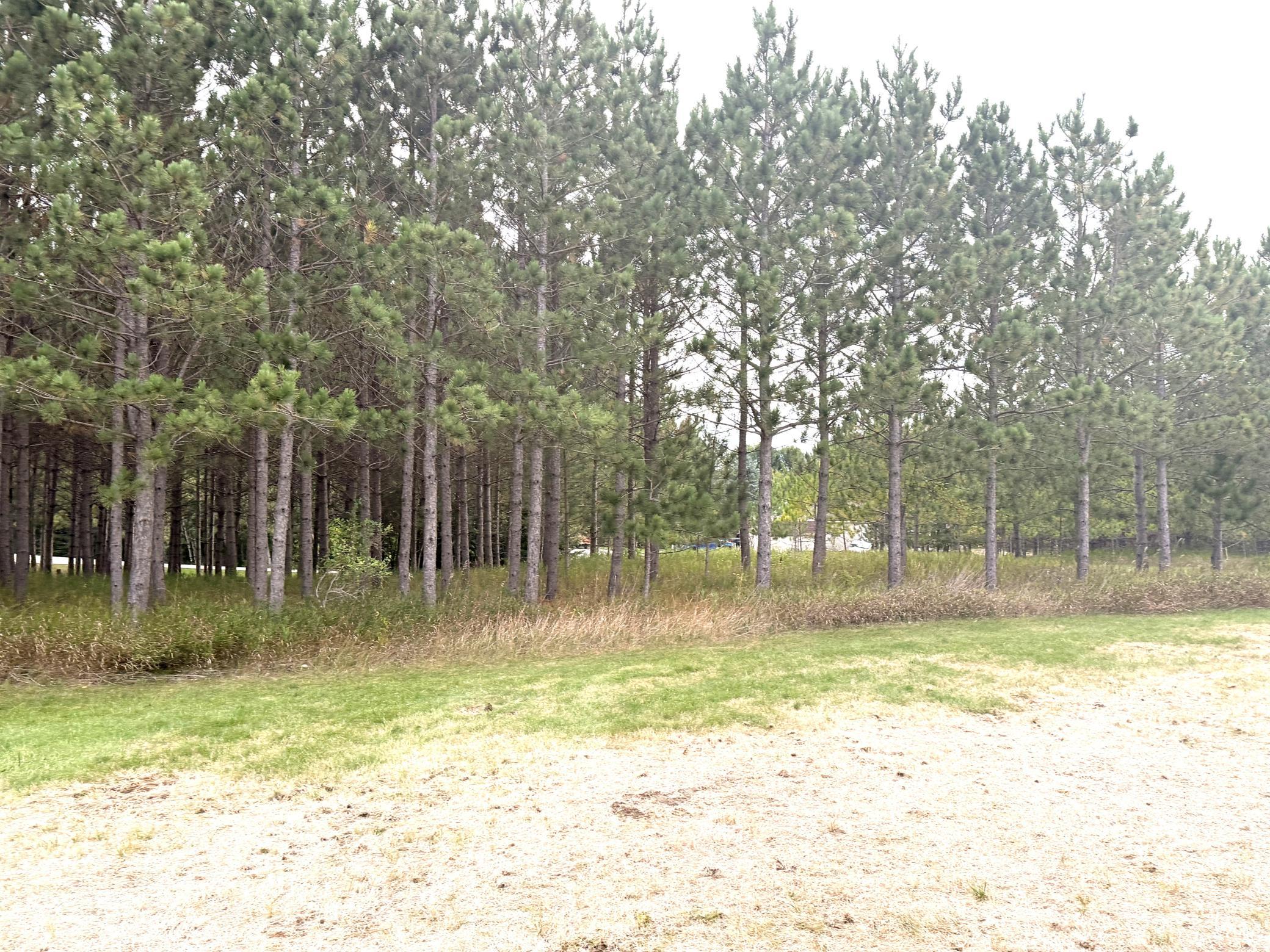 main property photo 54