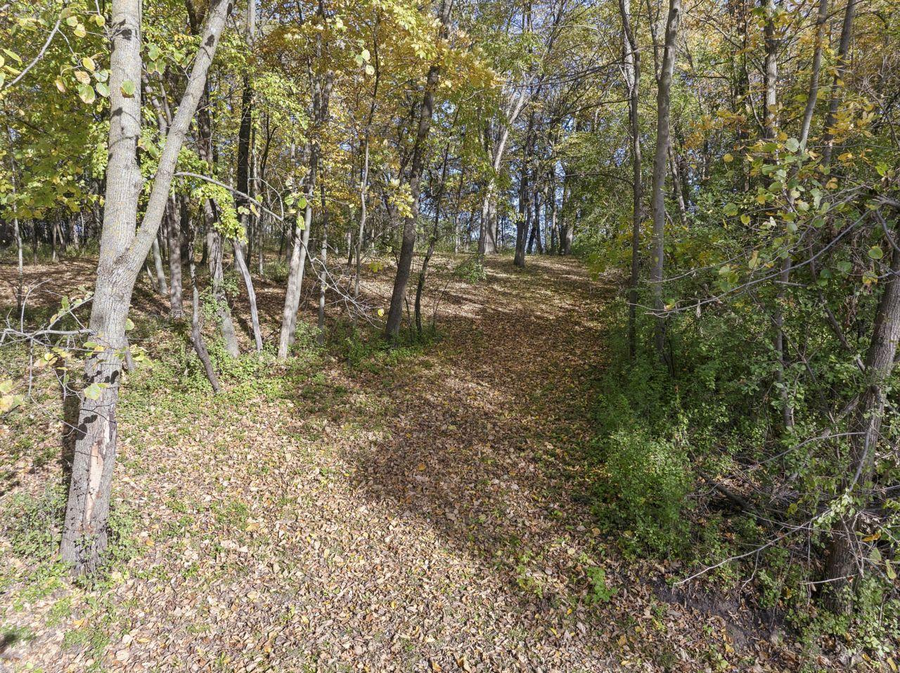 main property photo 50
