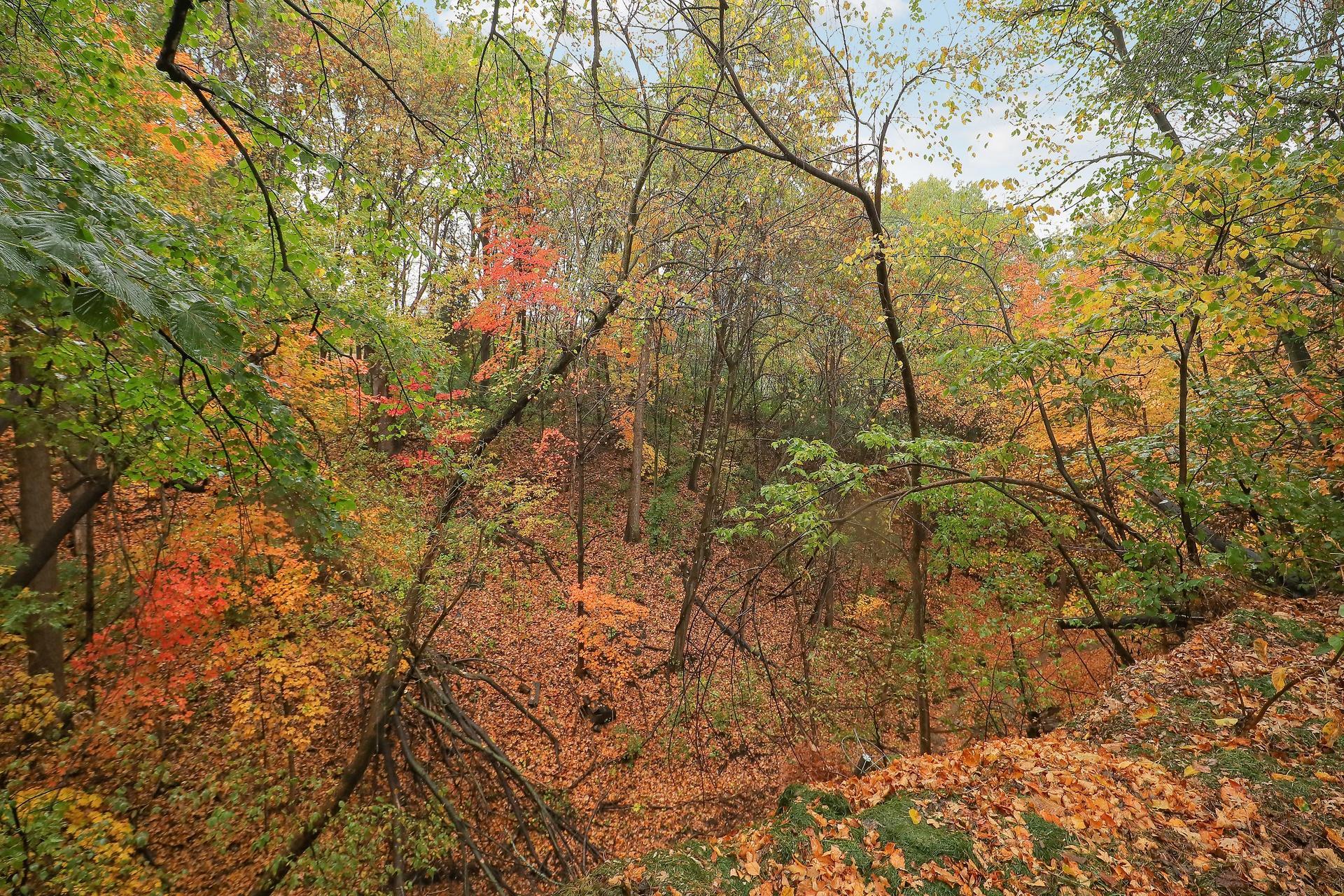 main property photo 51