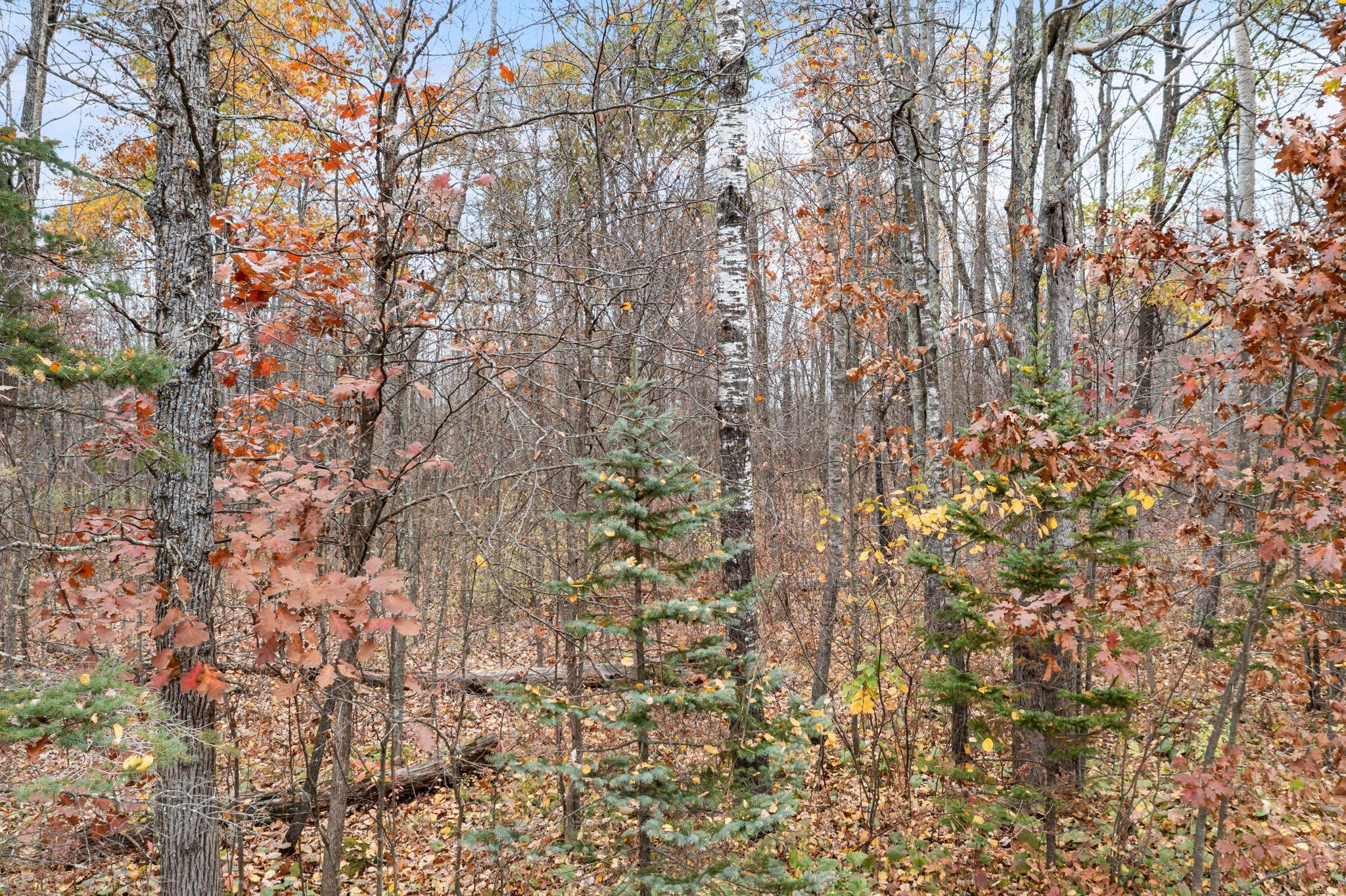 main property photo 36
