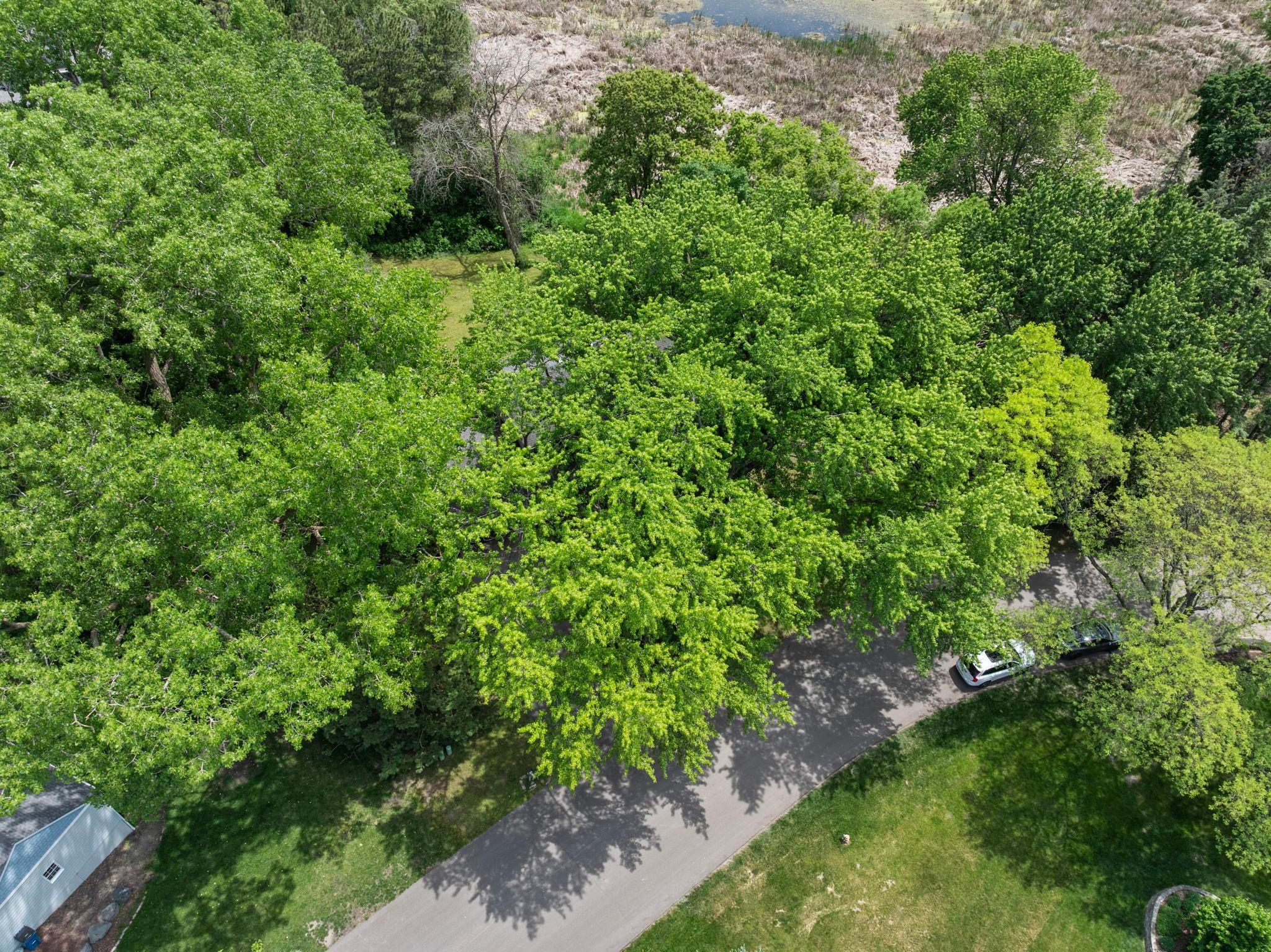 main property photo 70