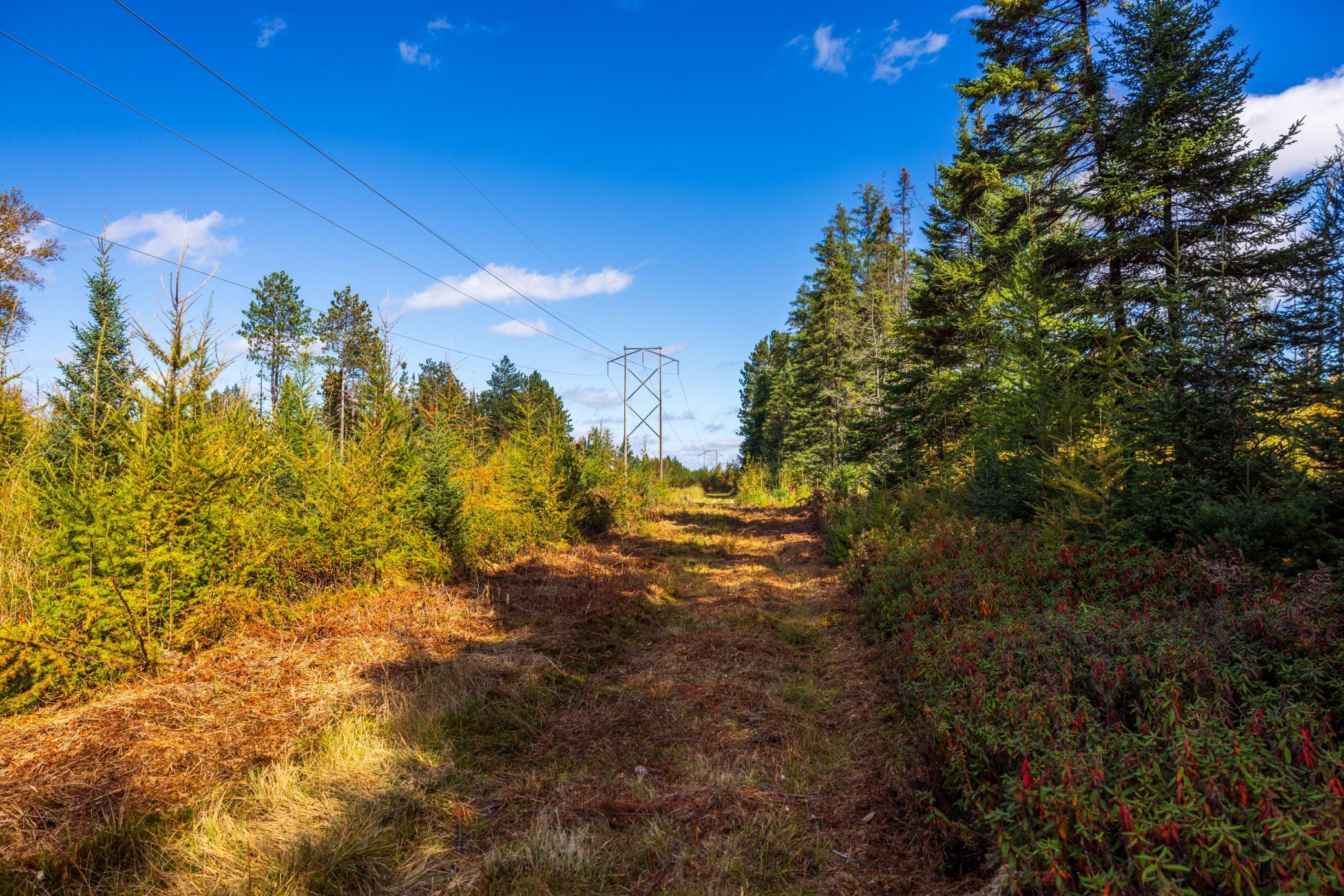 main property photo 51
