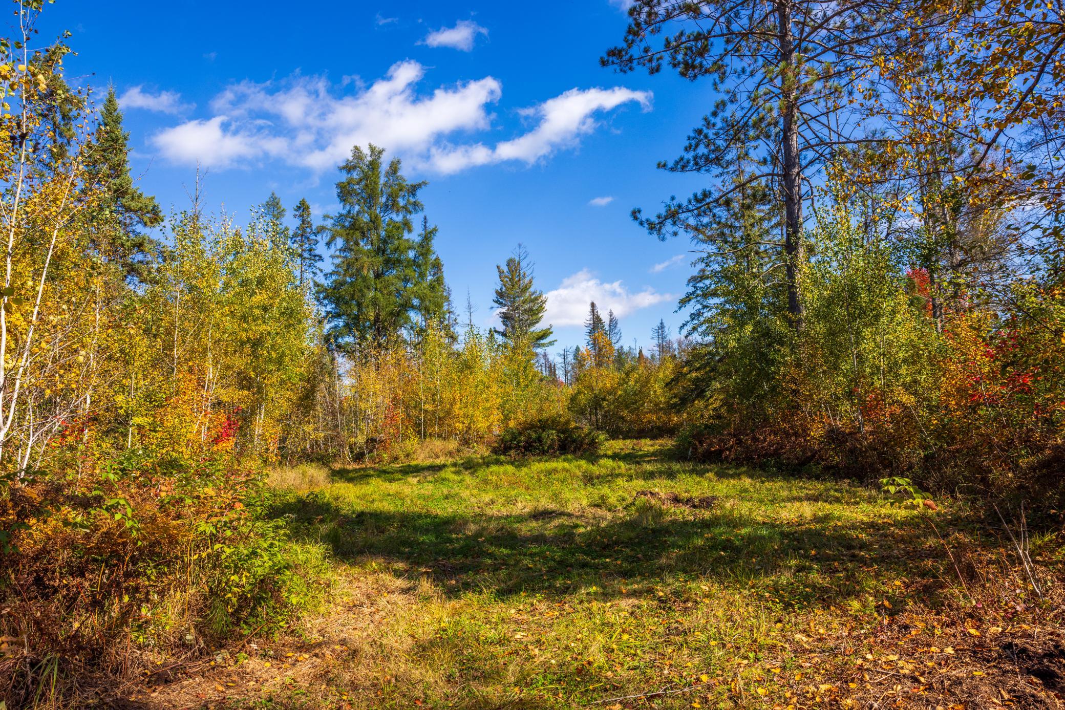 main property photo 60