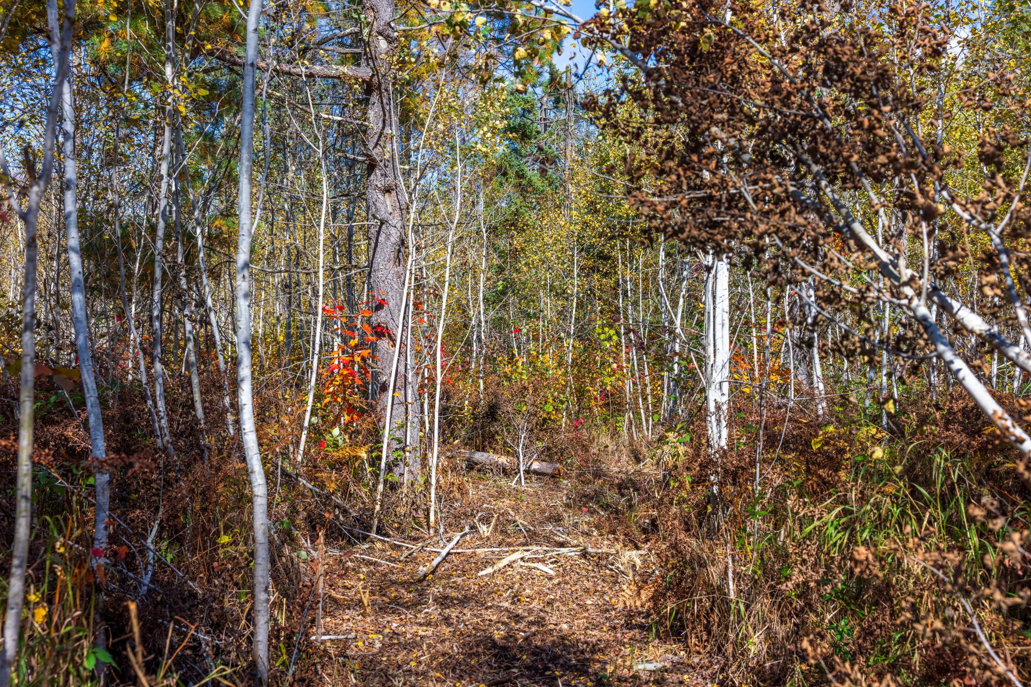 main property photo 61