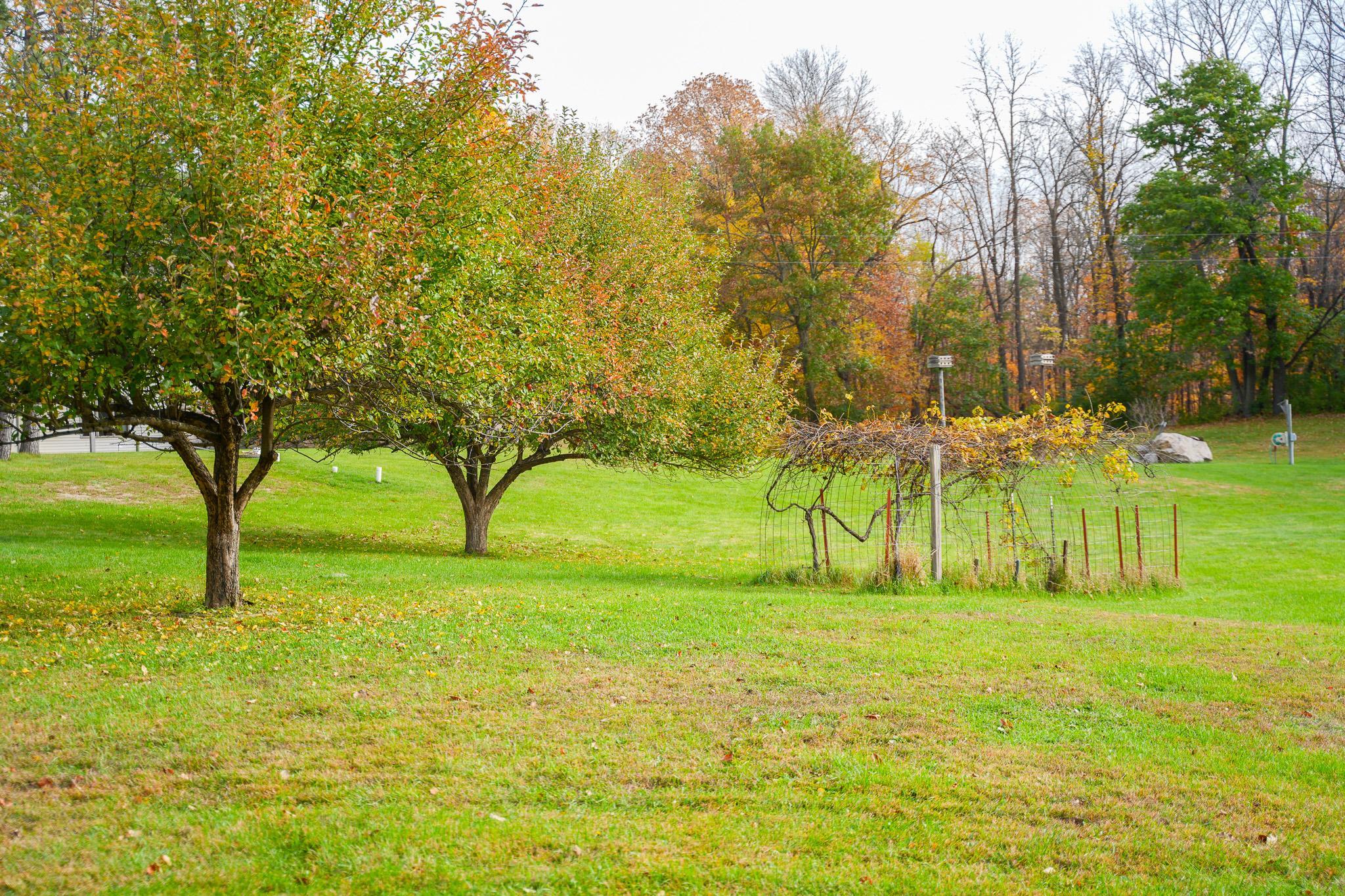 main property photo 68