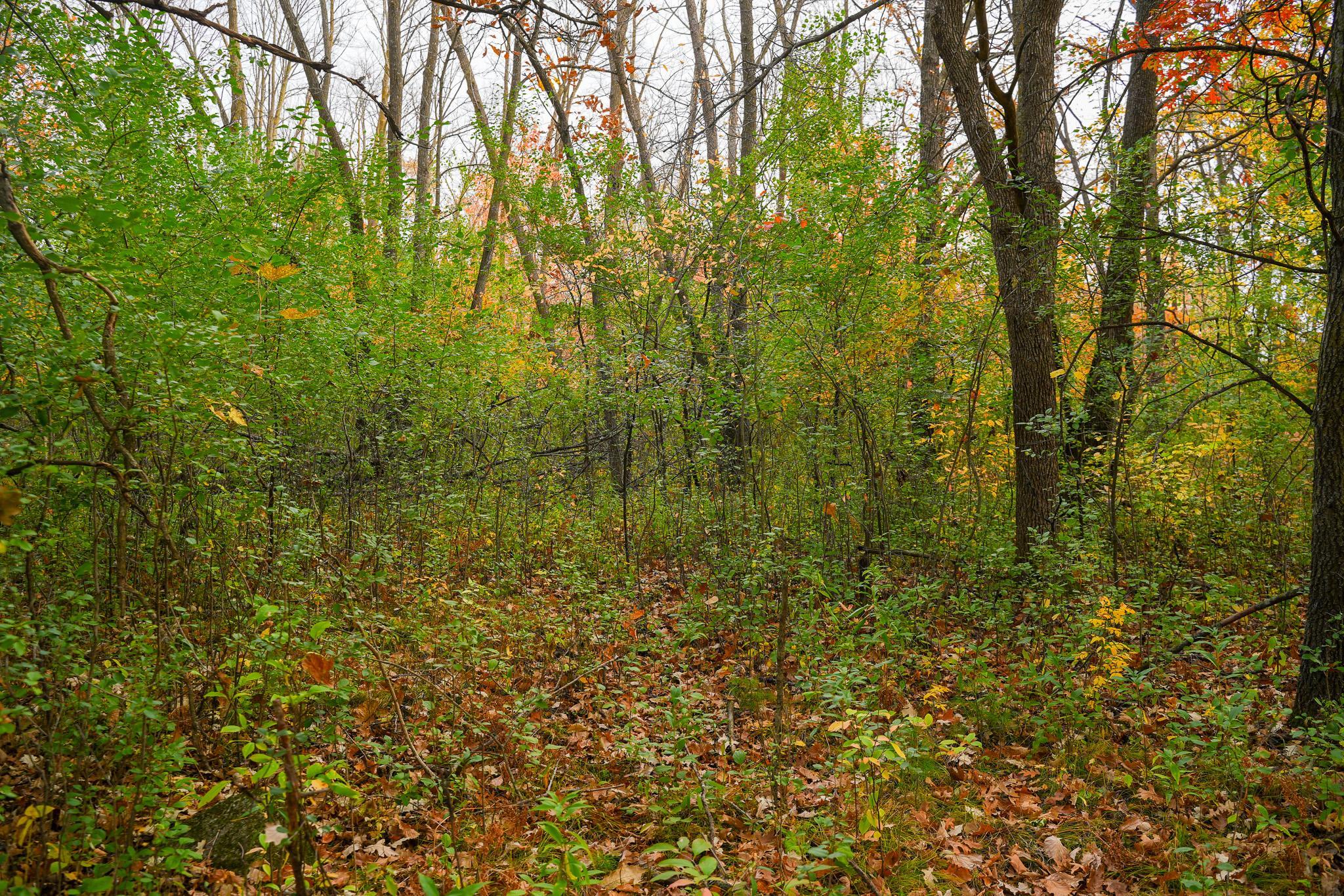 main property photo 71