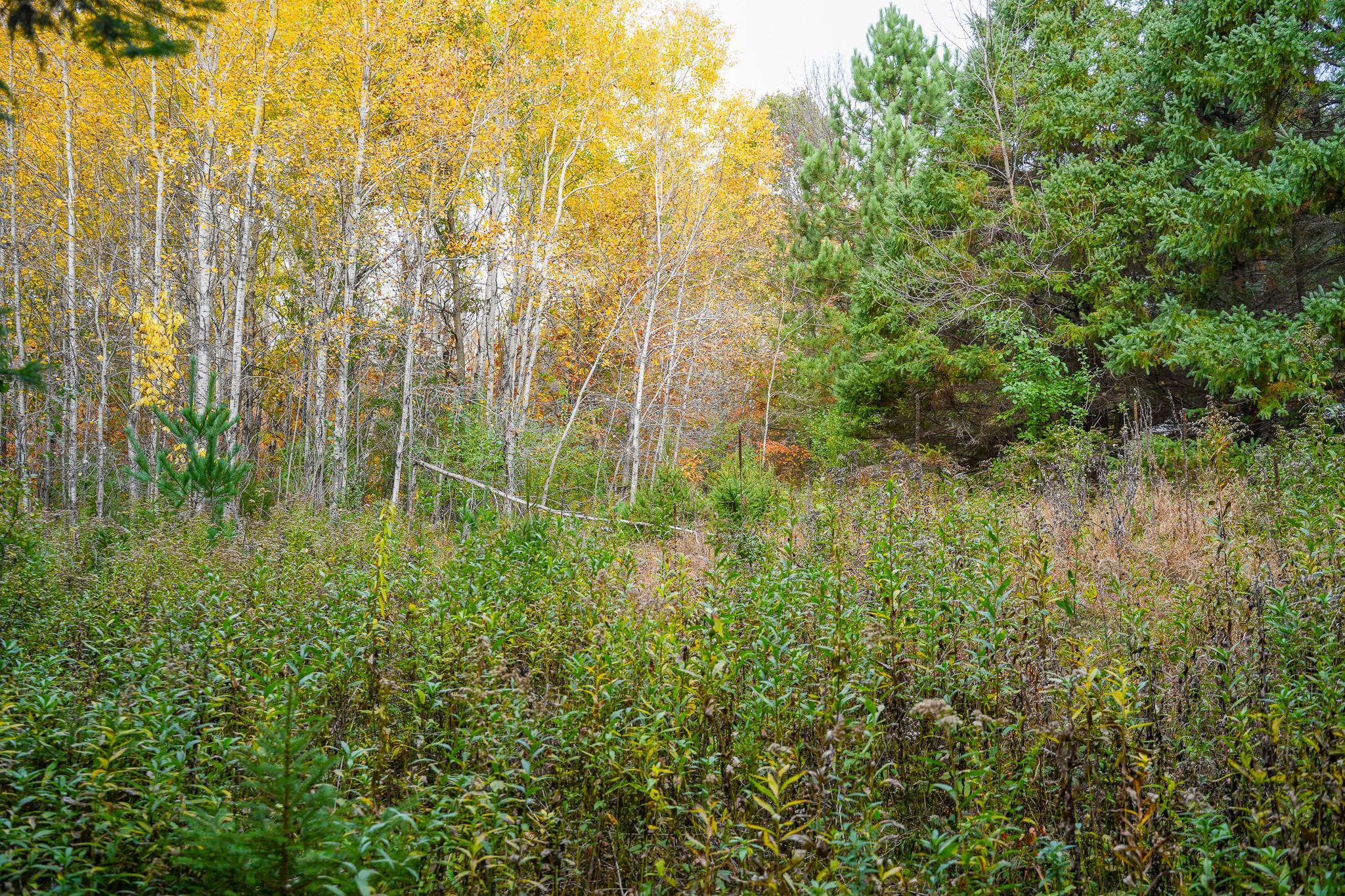 main property photo 77