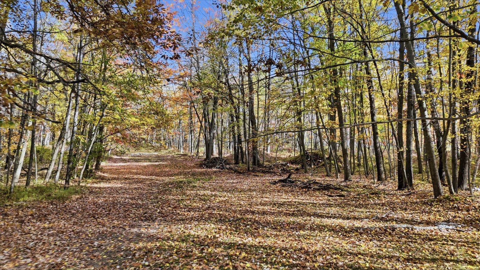 main property photo 90