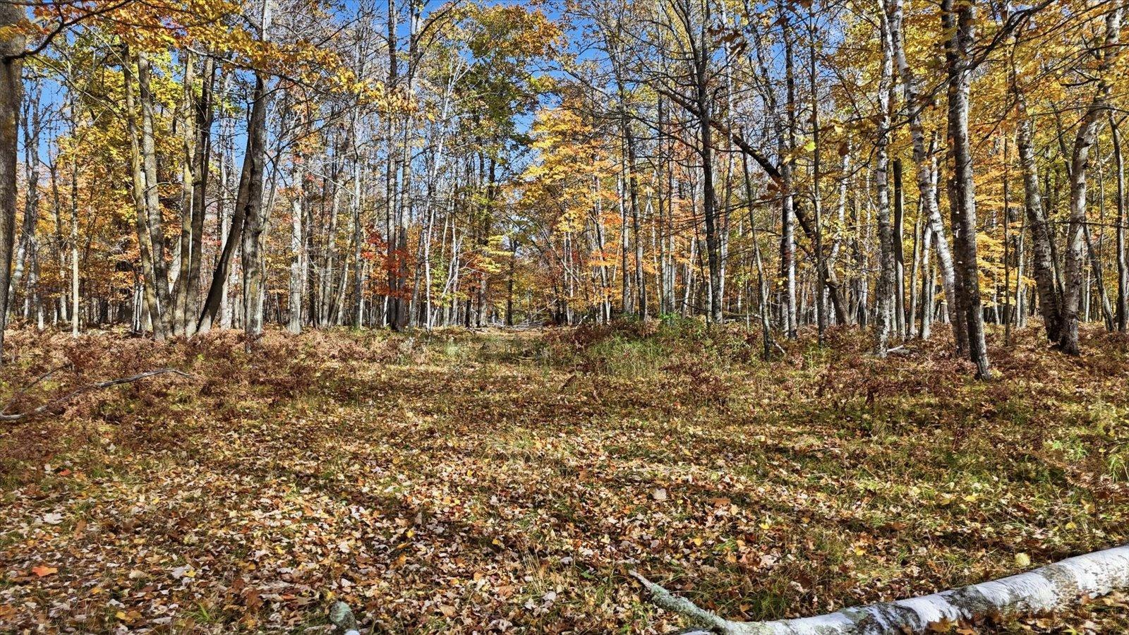 main property photo 92