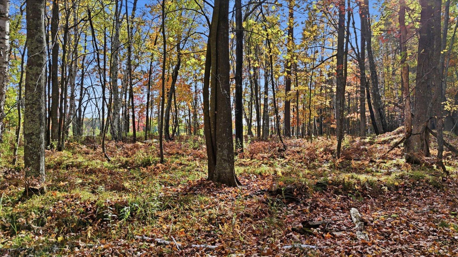 main property photo 93