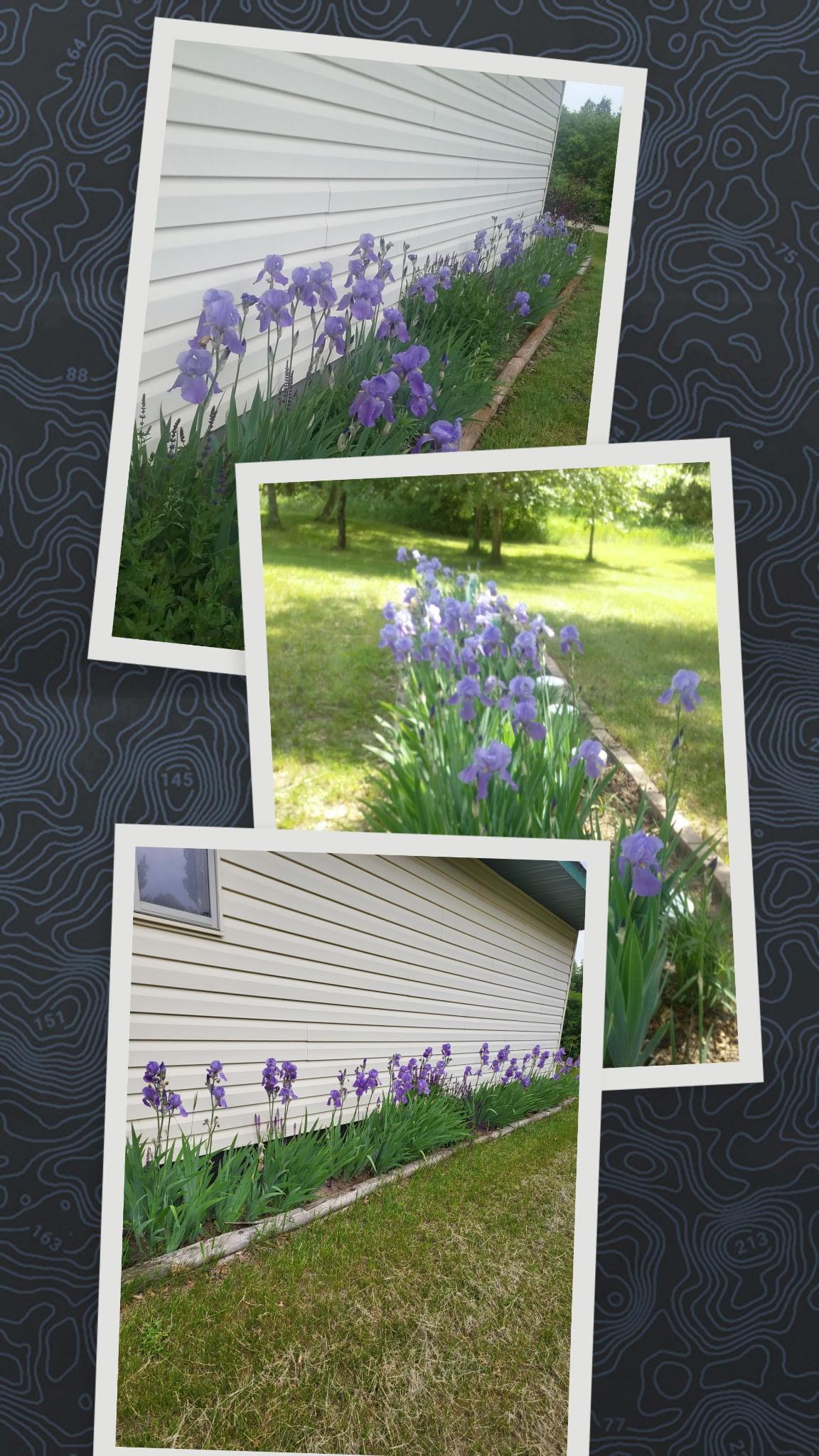 main property photo 35