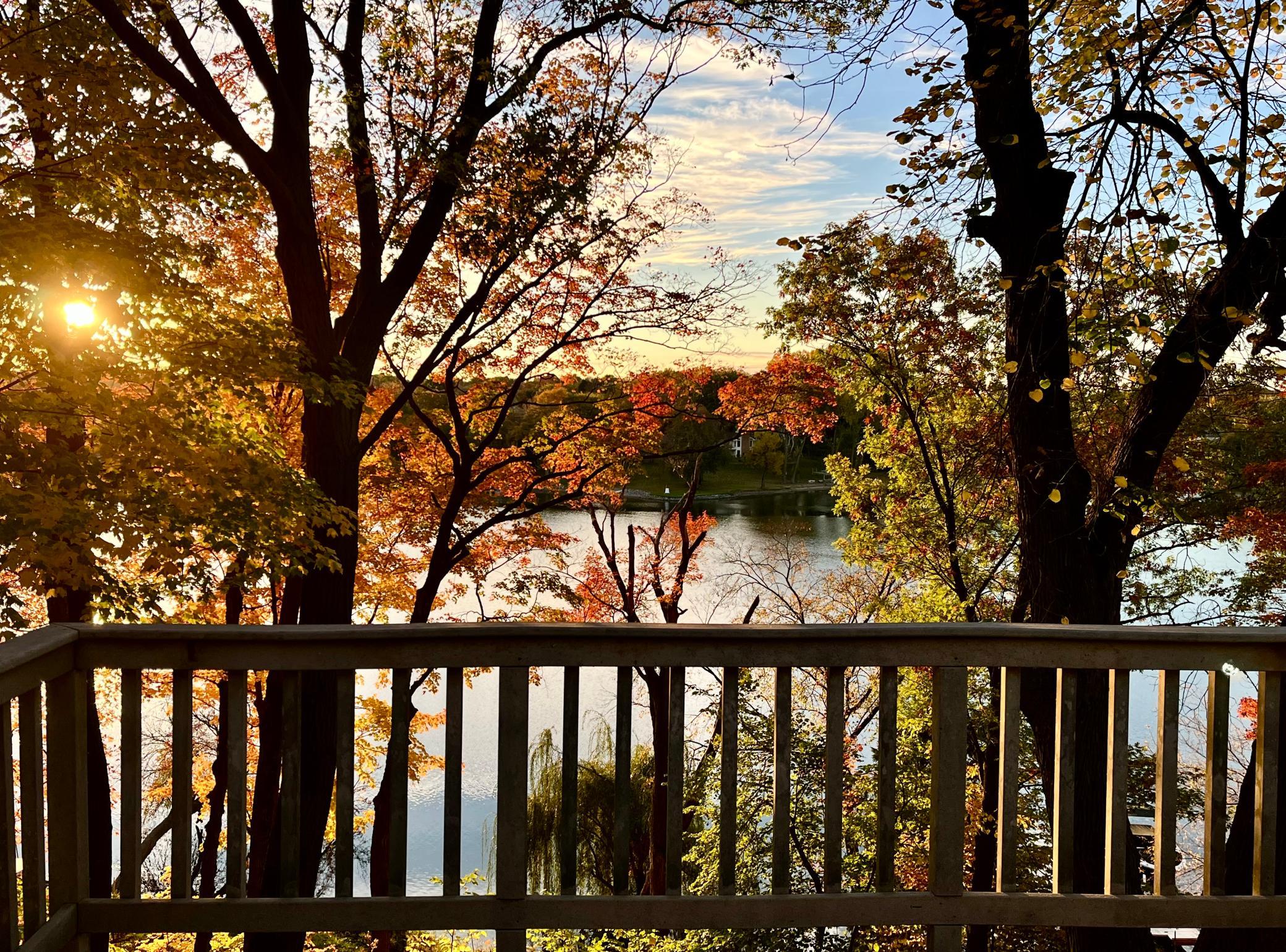 main property photo 53