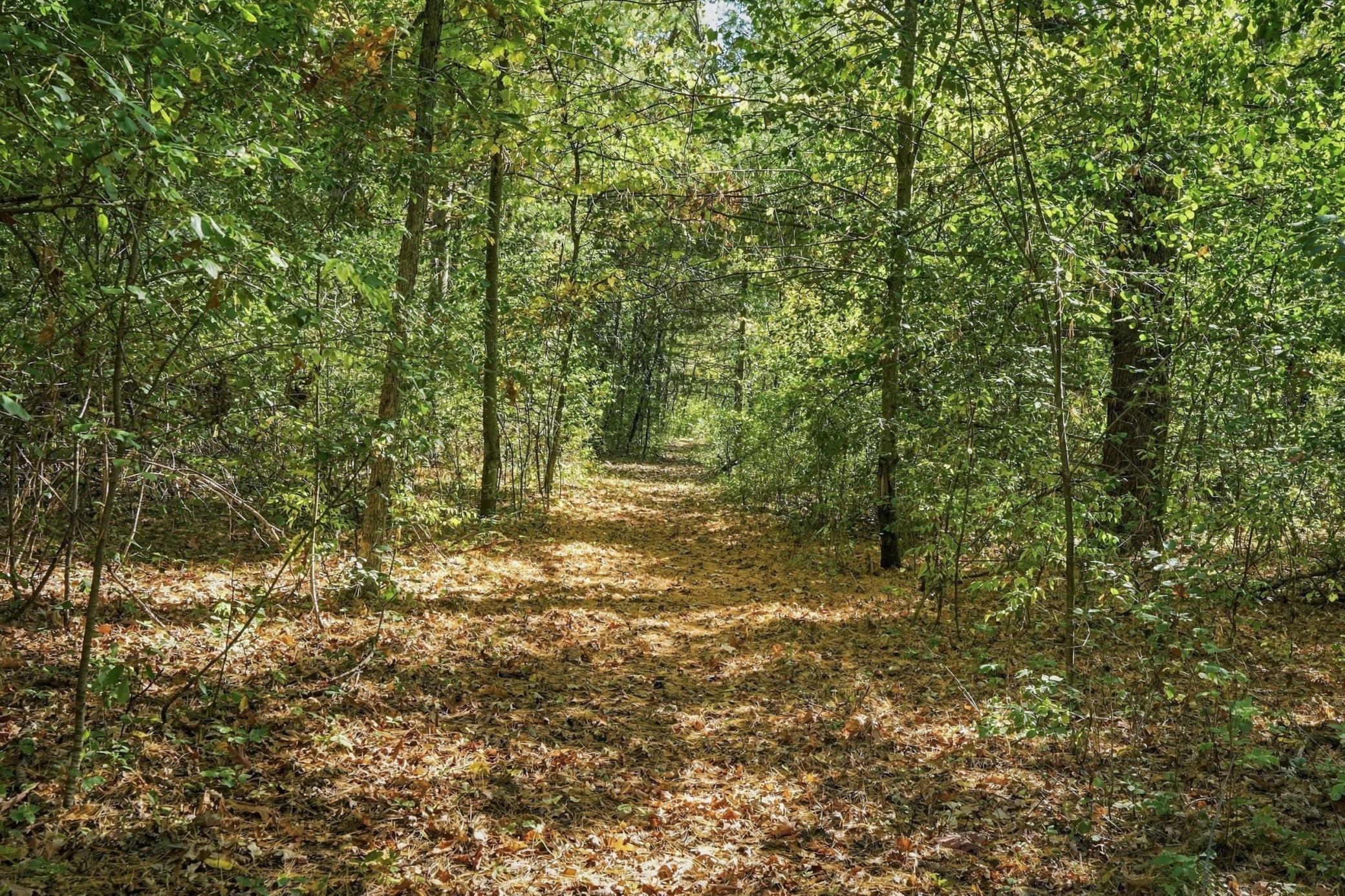 main property photo 47