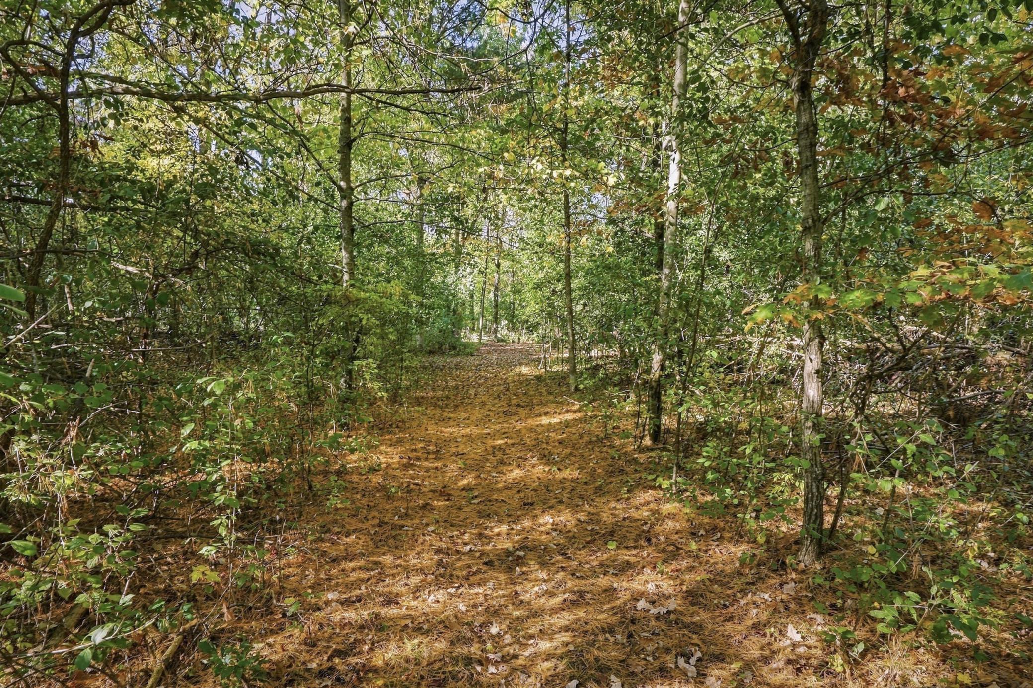 main property photo 48