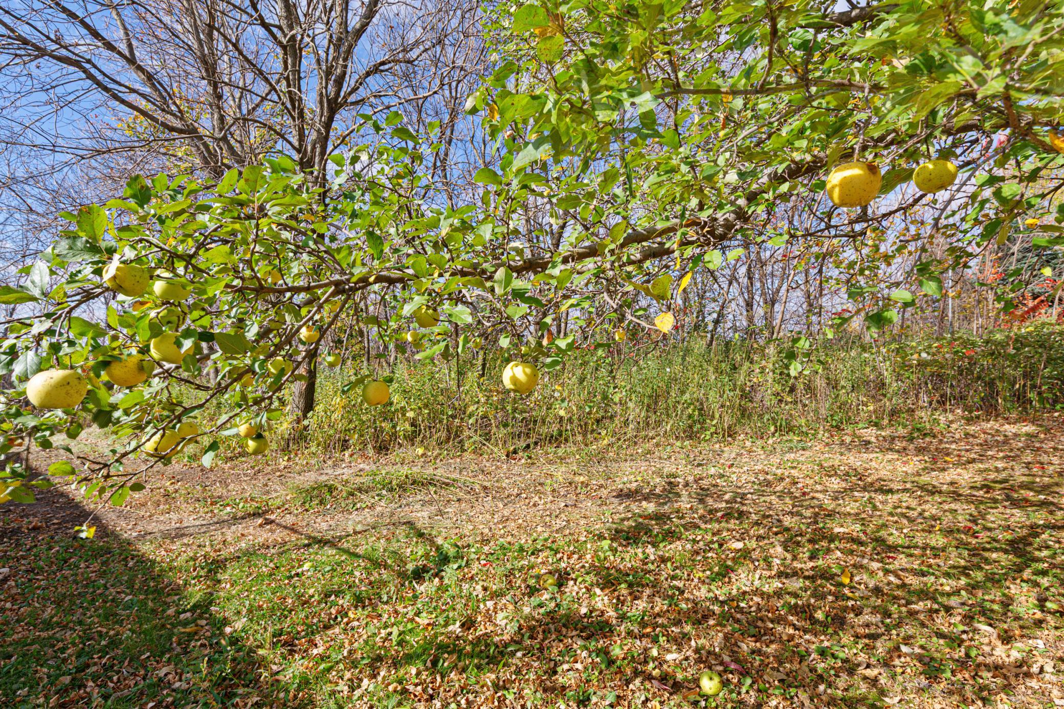 main property photo 35