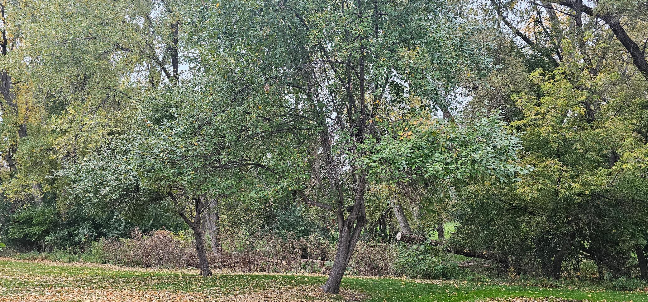main property photo 24