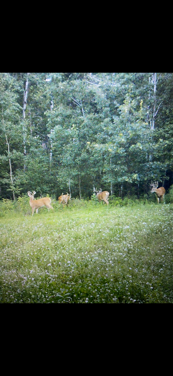 main property photo 52