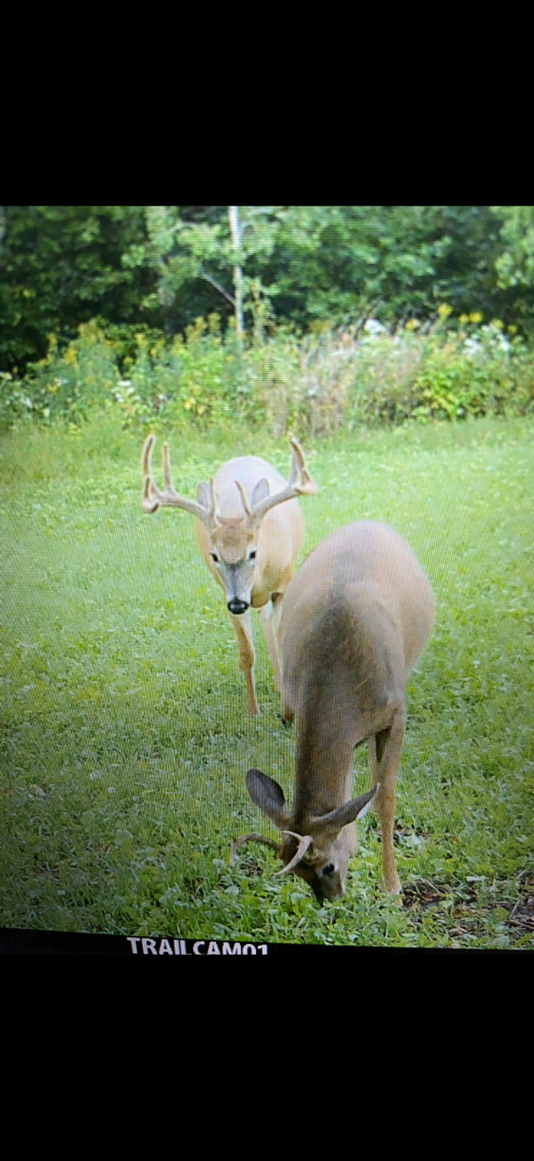 main property photo 53