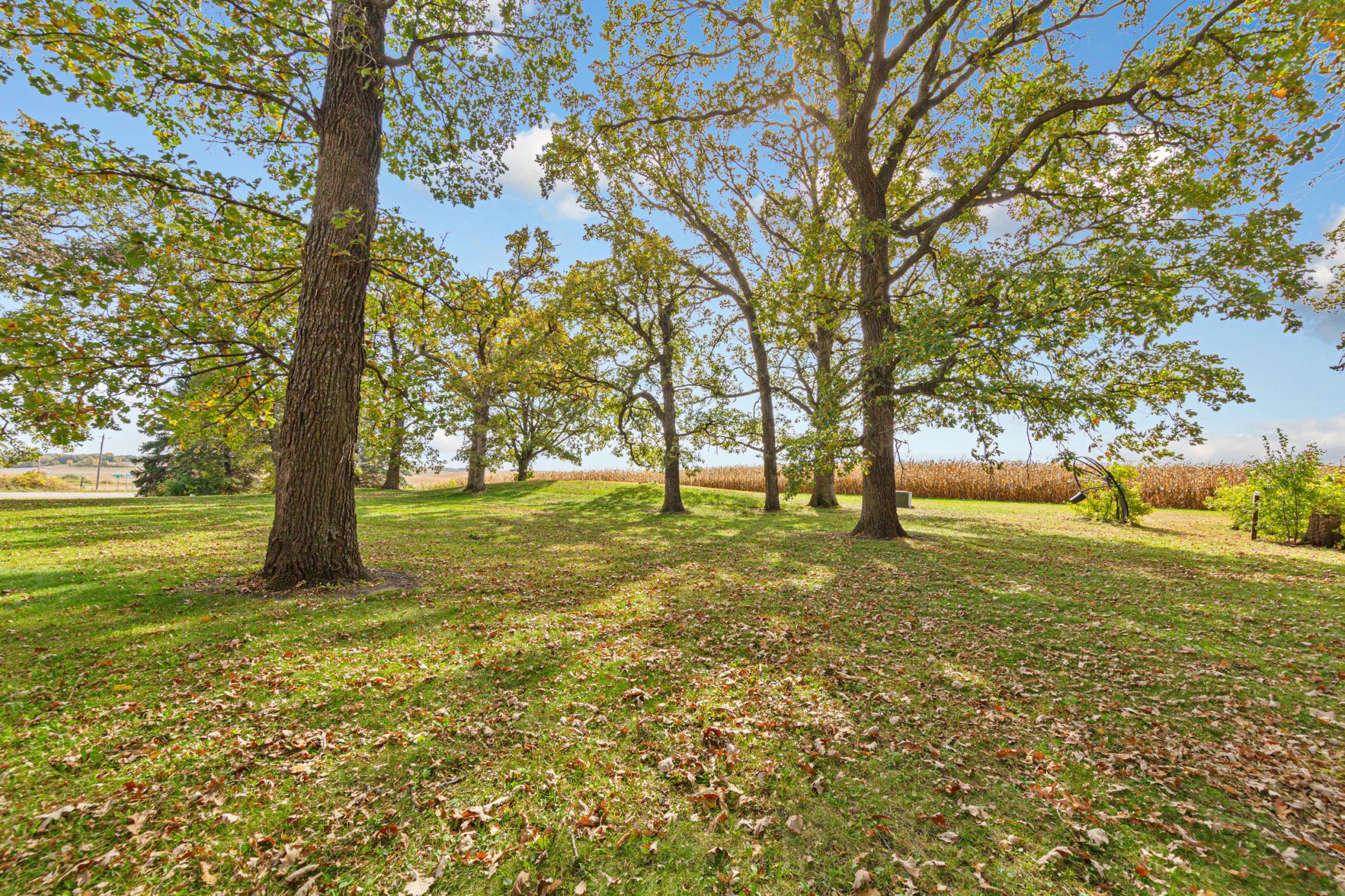 main property photo 64