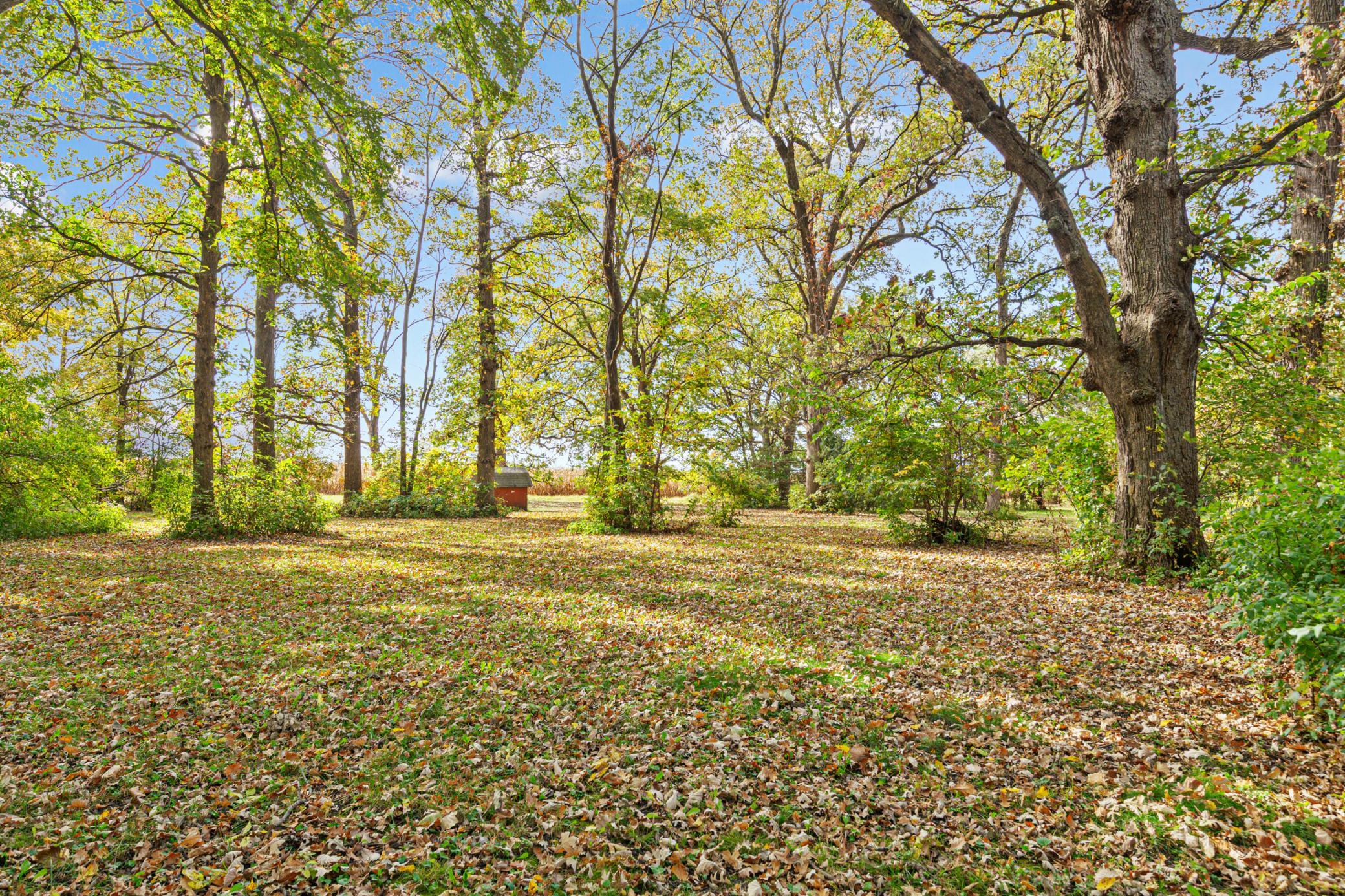 main property photo 66