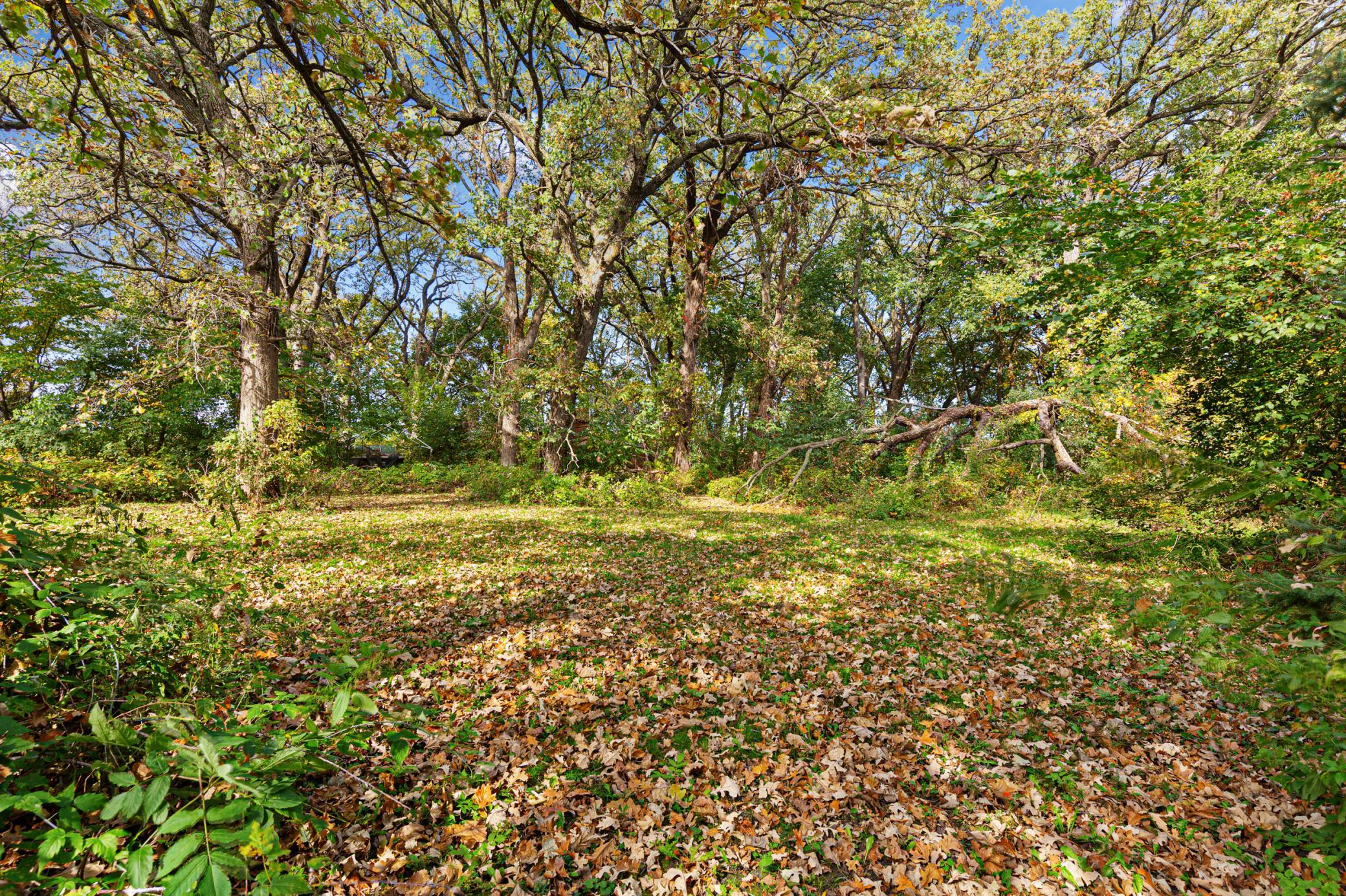 main property photo 69