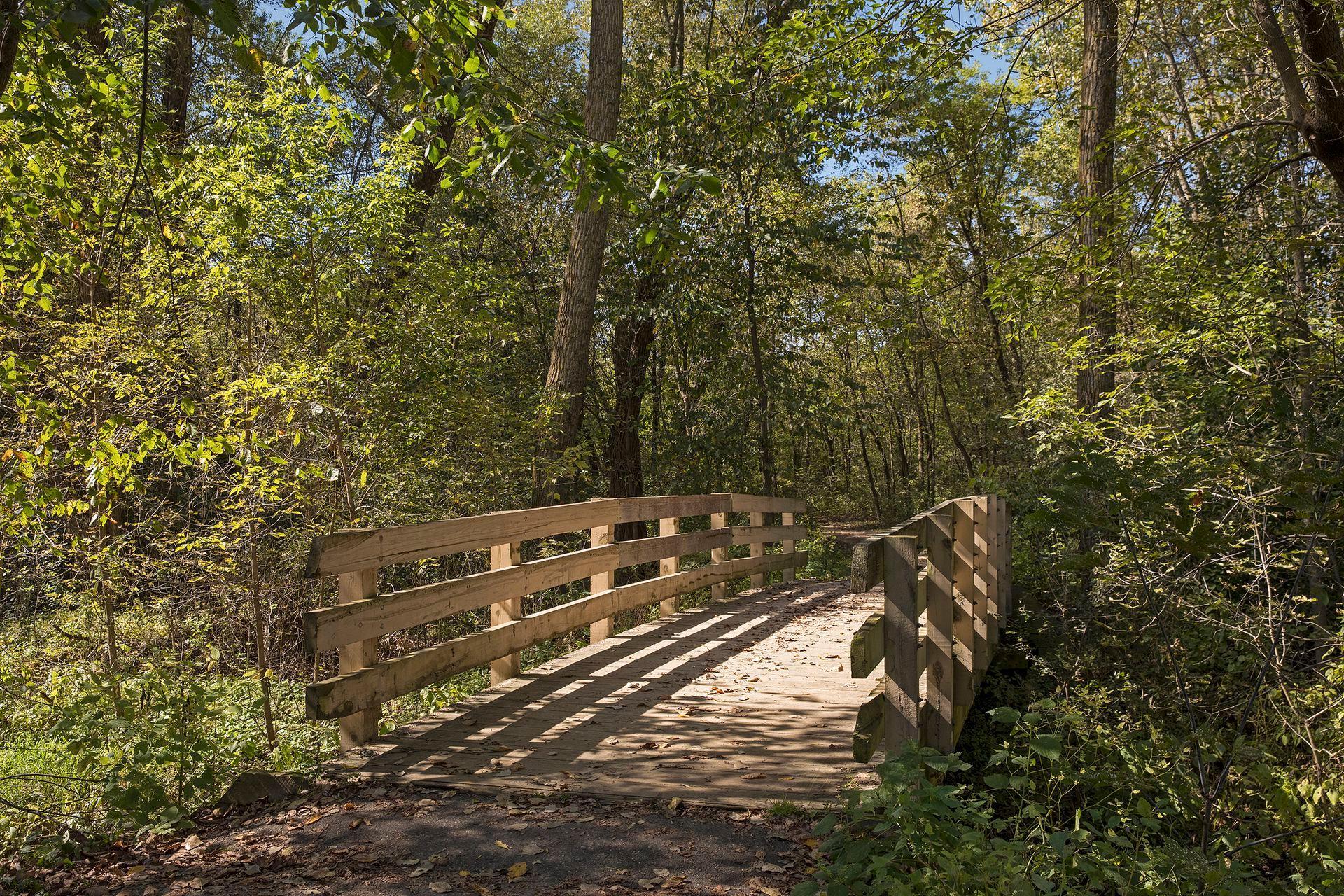 main property photo 58