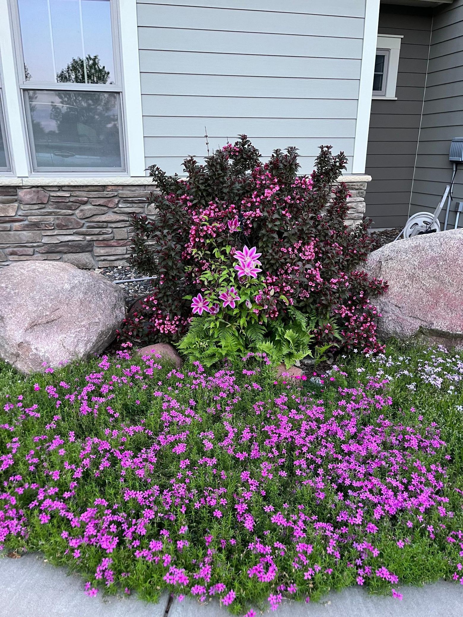 main property photo 49