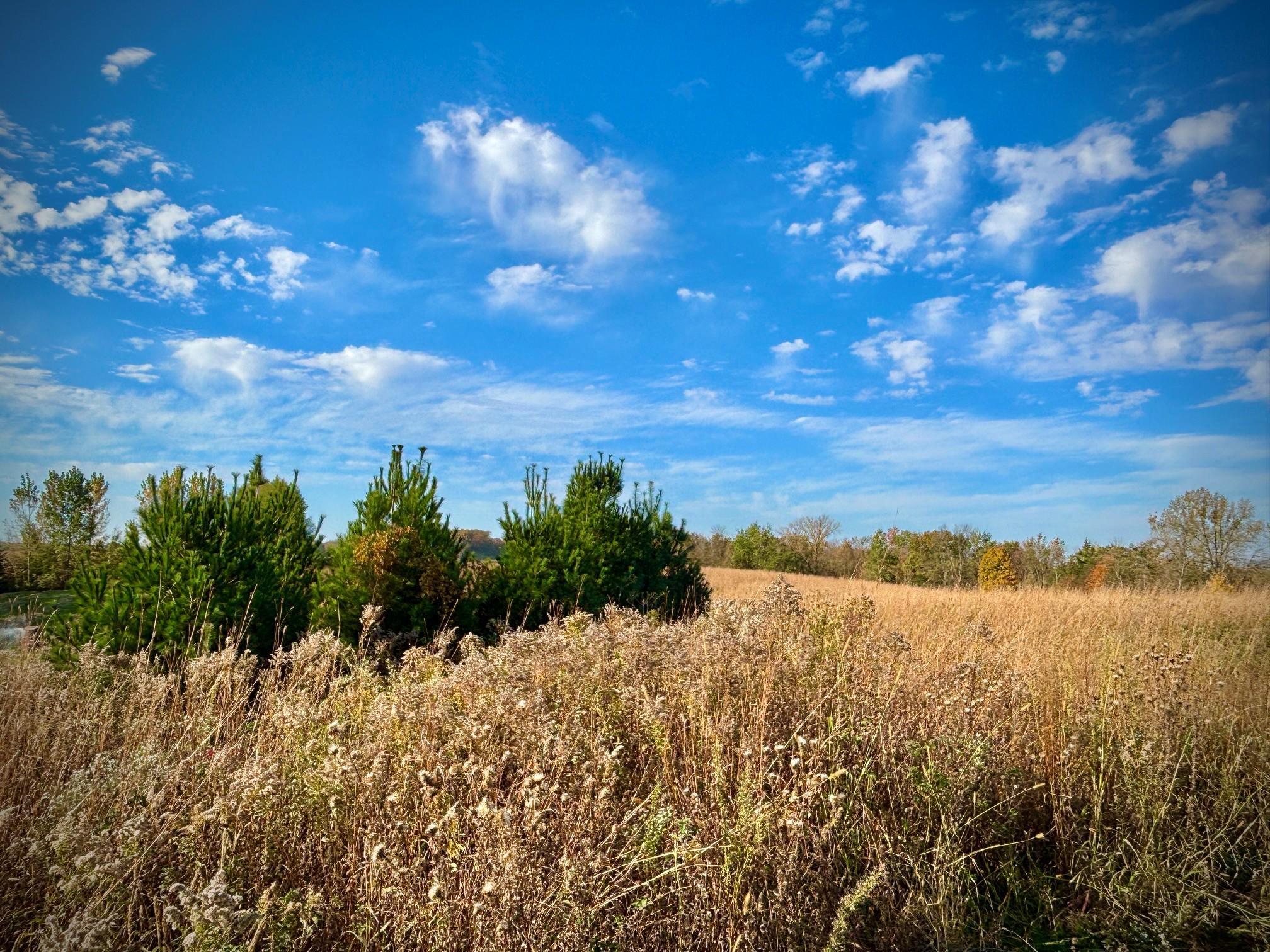 main property photo 54