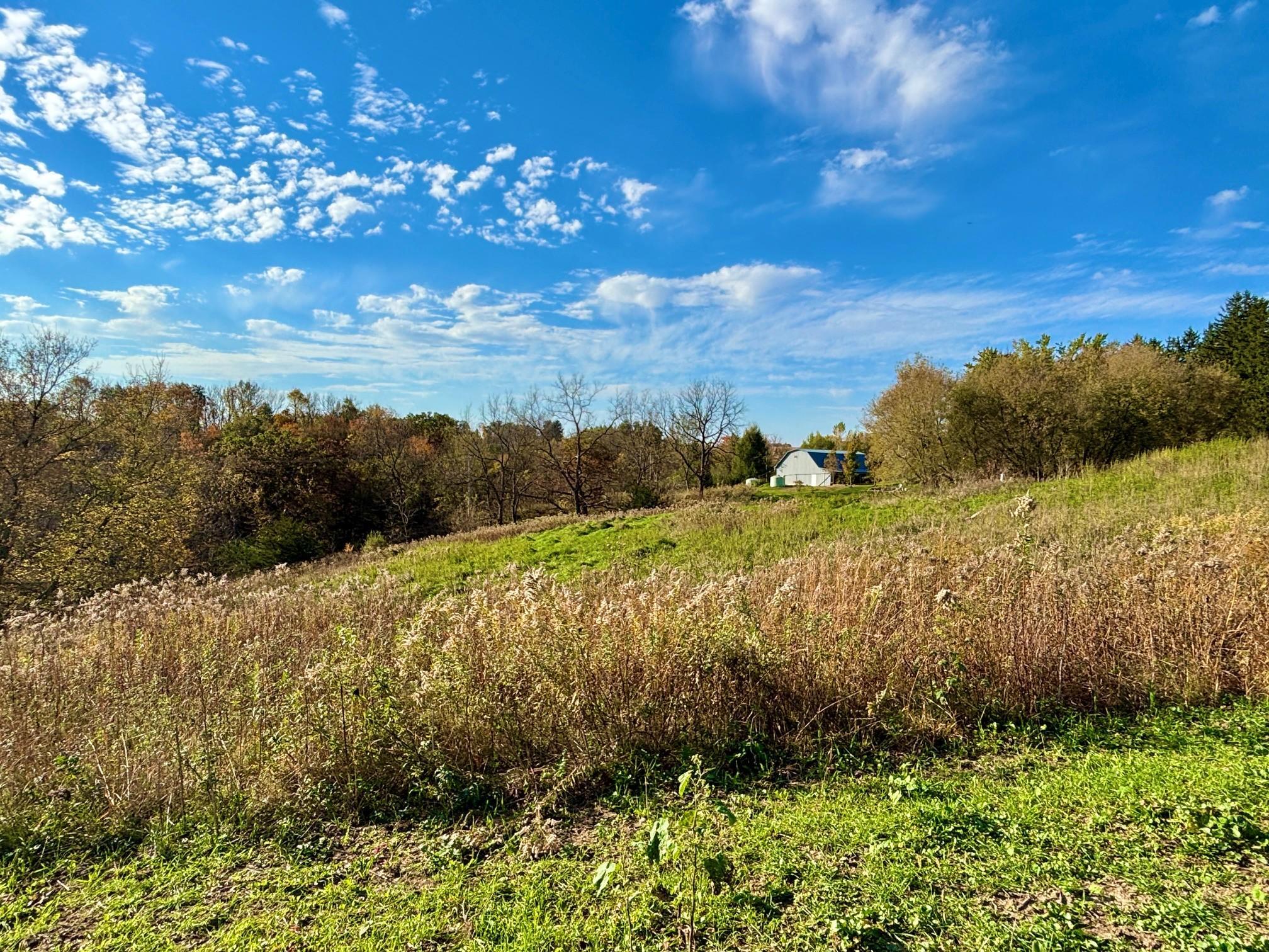 main property photo 58