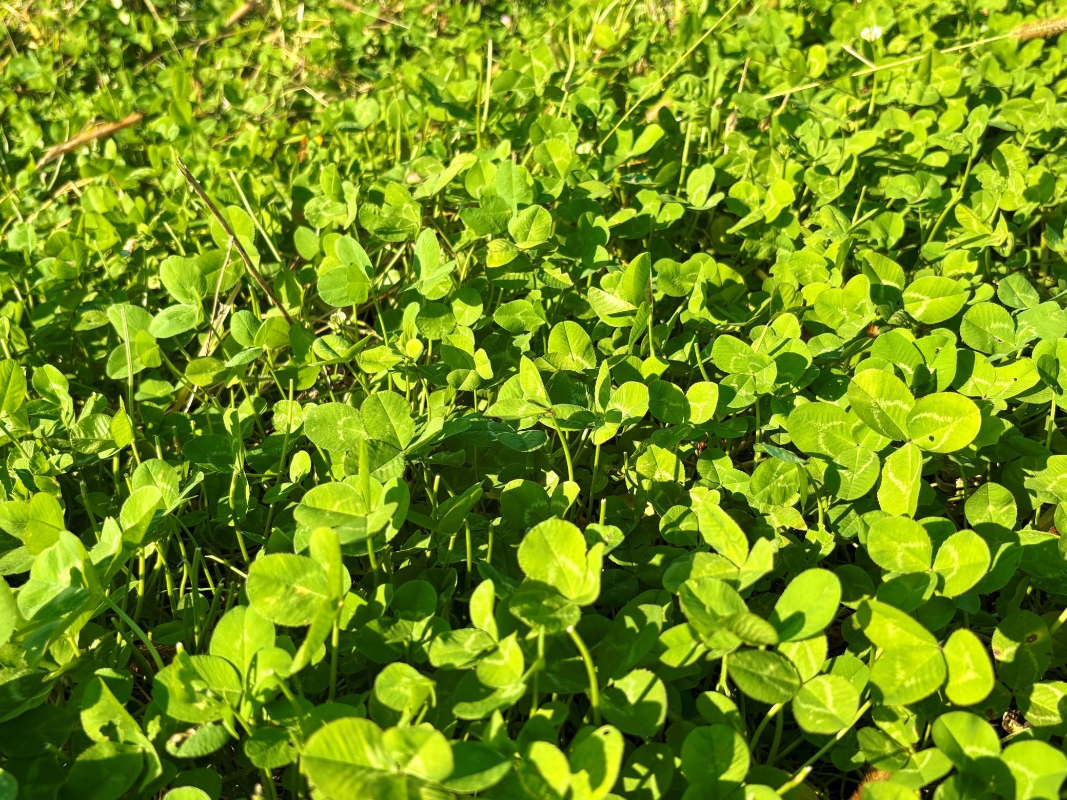 main property photo 61