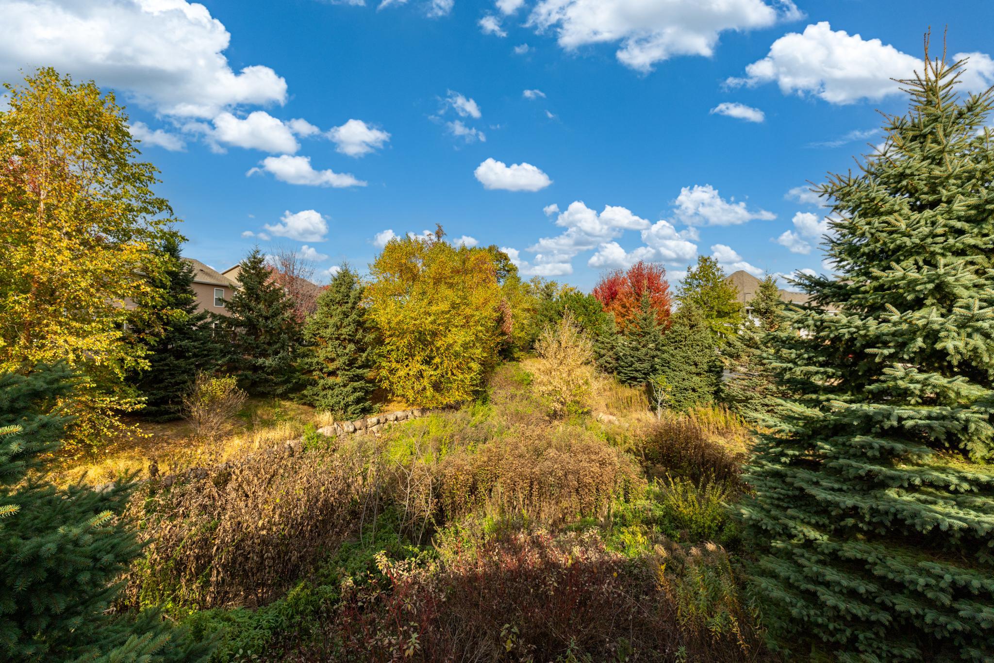 main property photo 53