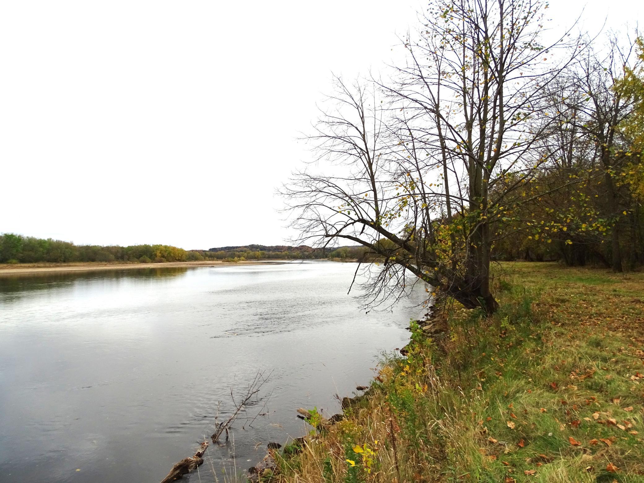 main property photo 54