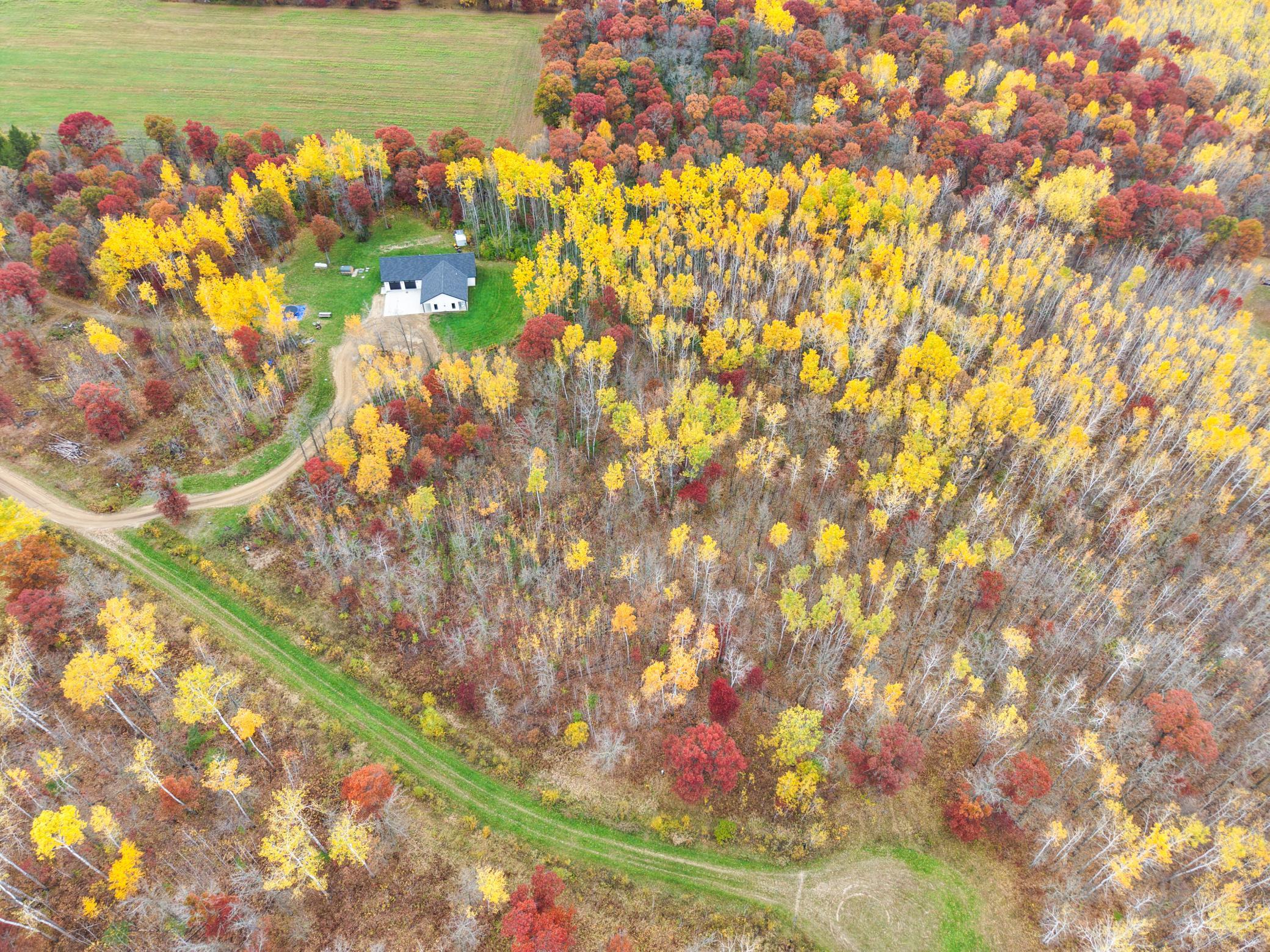 main property photo 54