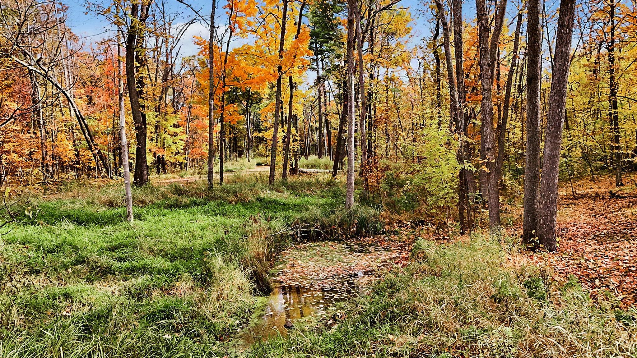 main property photo 42
