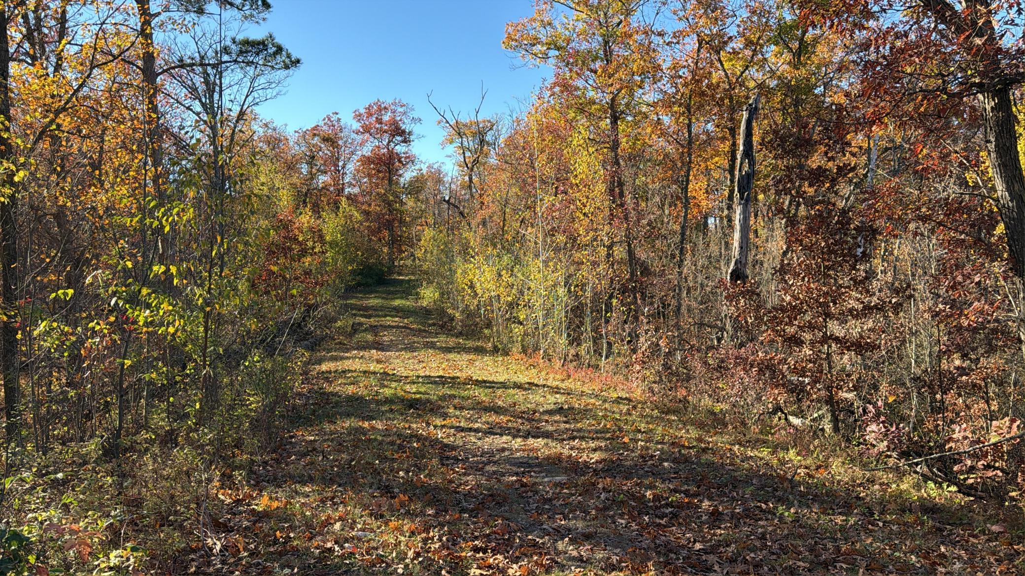 main property photo 11