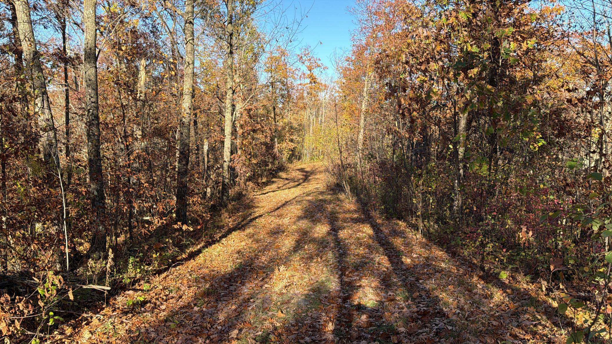 main property photo 12