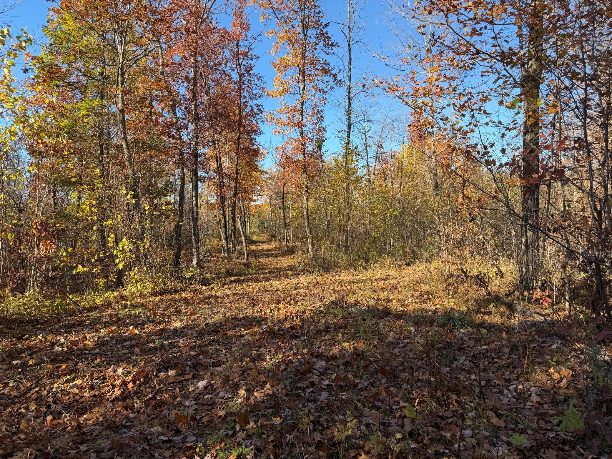 main property photo 13