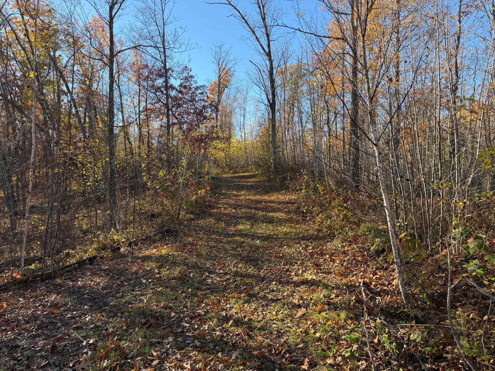 main property photo 14
