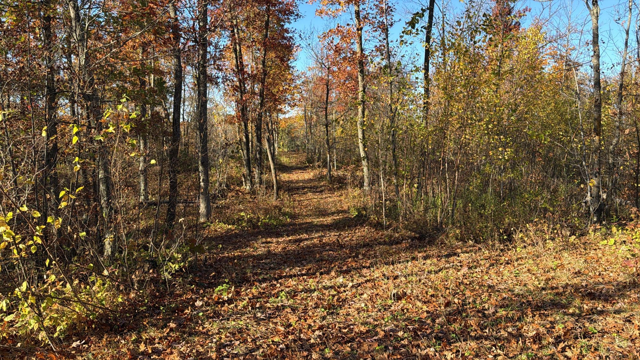 main property photo 15