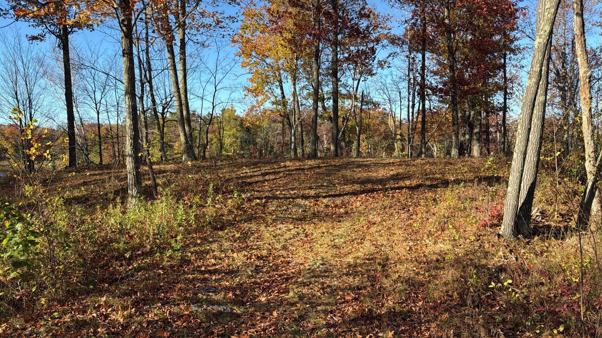 main property photo 16