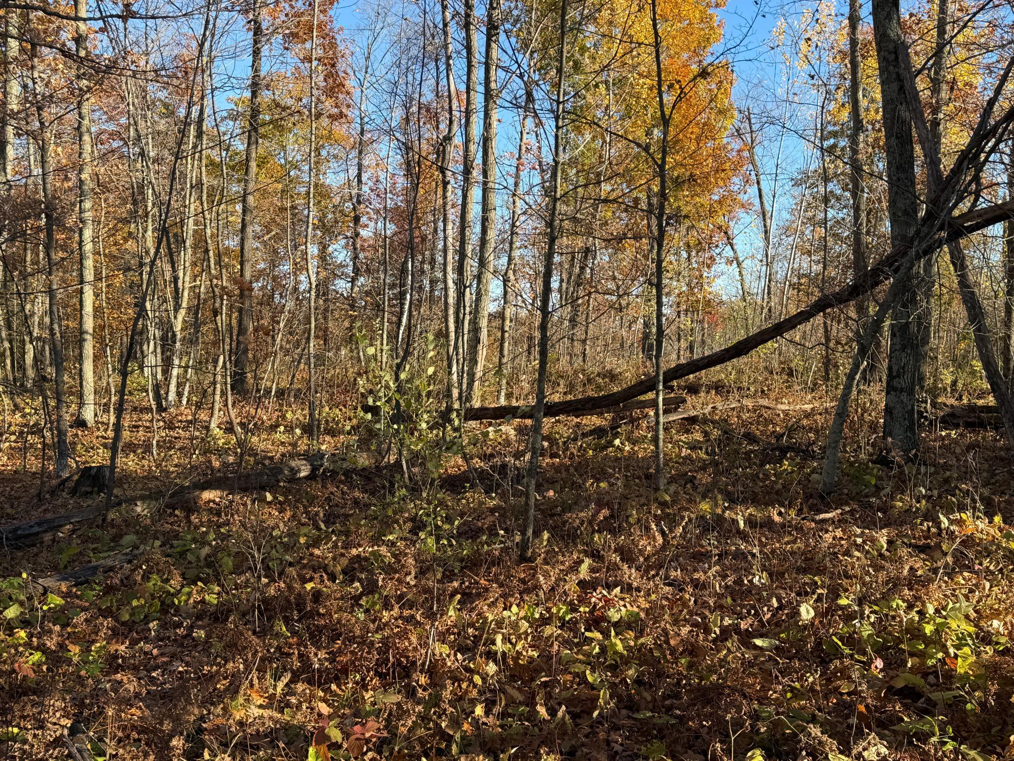 main property photo 17