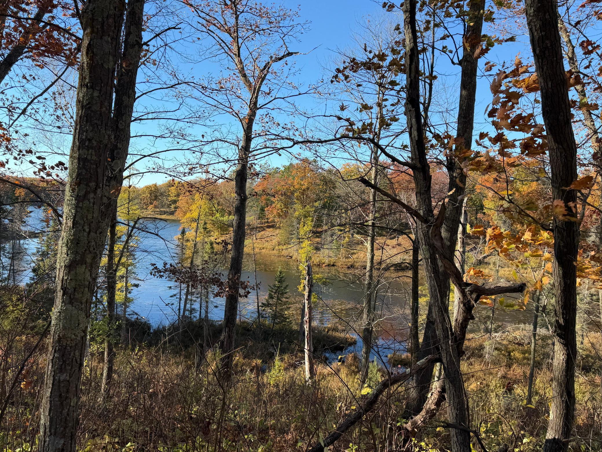 main property photo 25