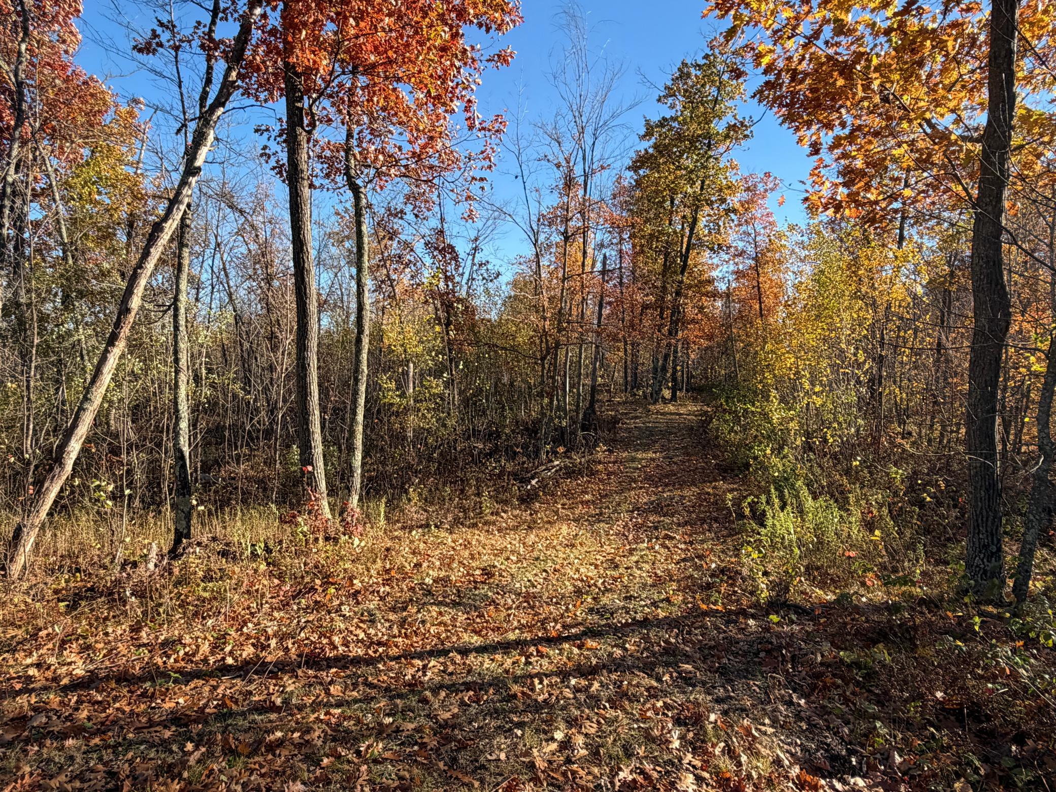 main property photo 27