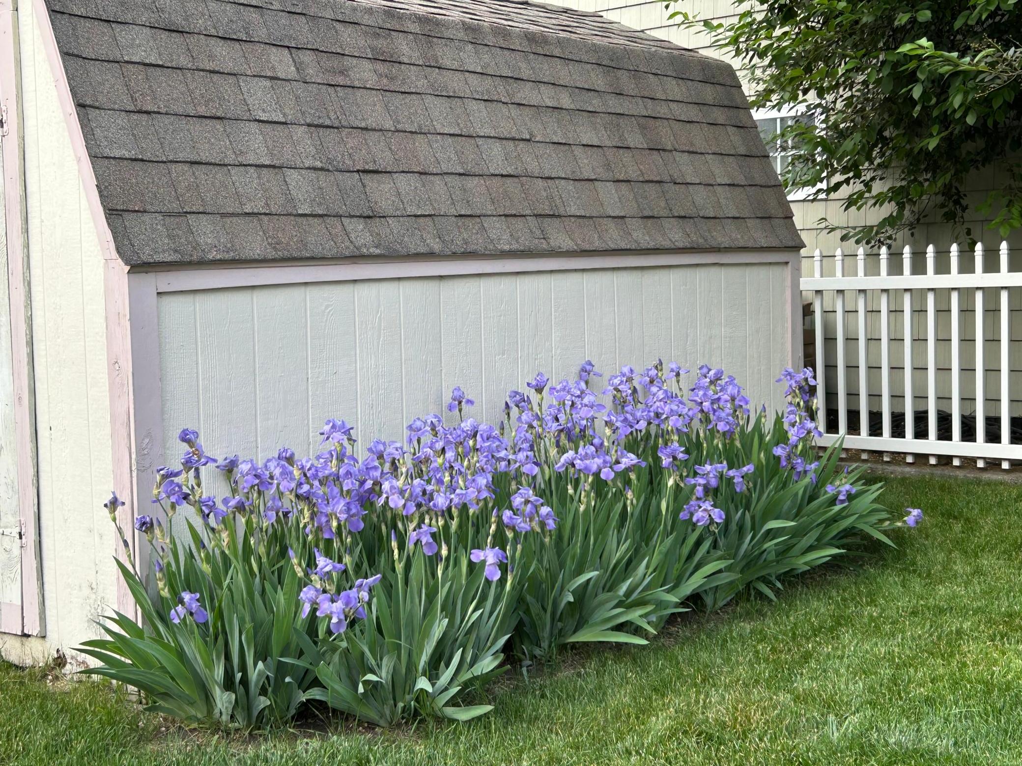 main property photo 42