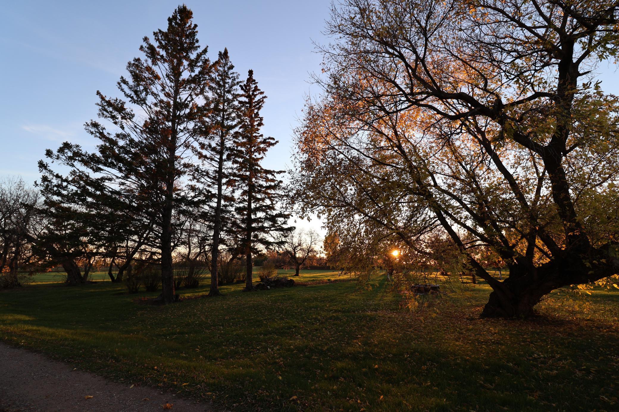 main property photo 15