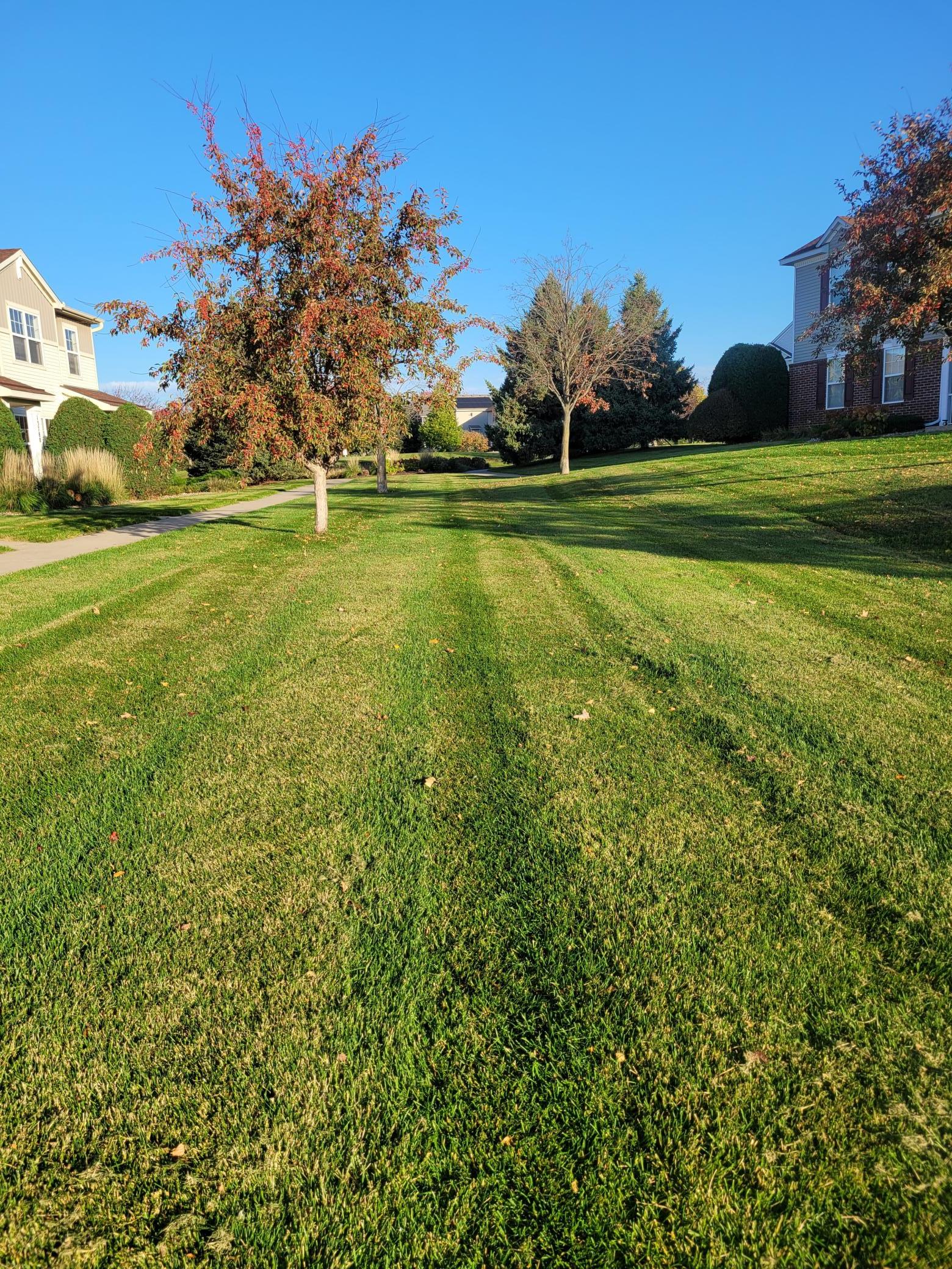 main property photo 16