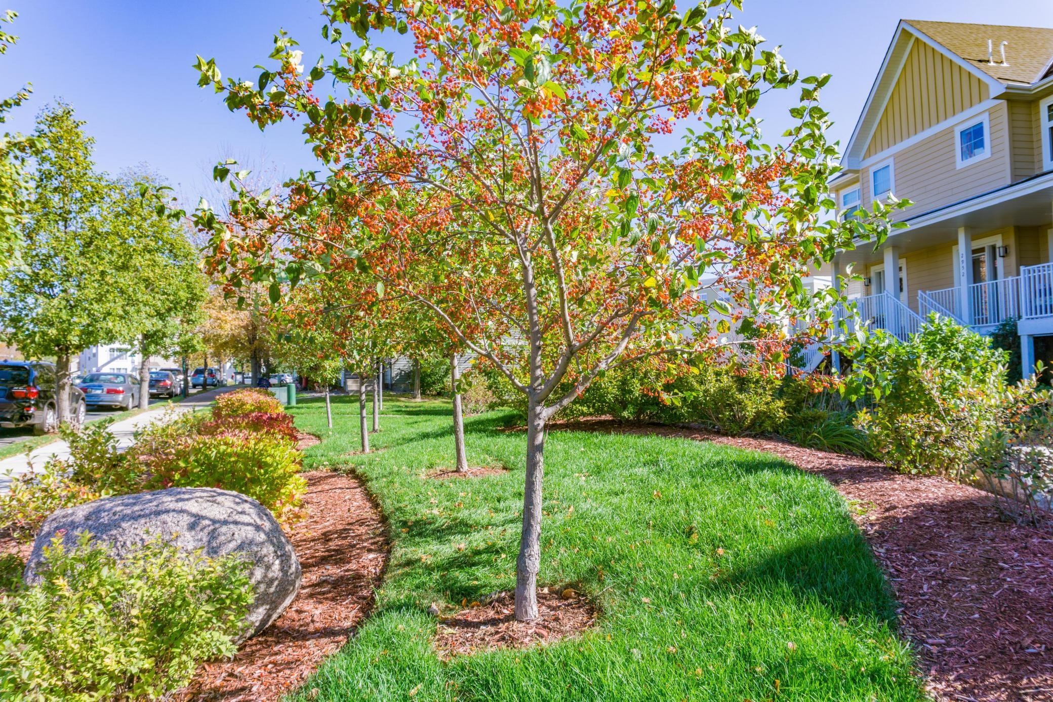 main property photo 36