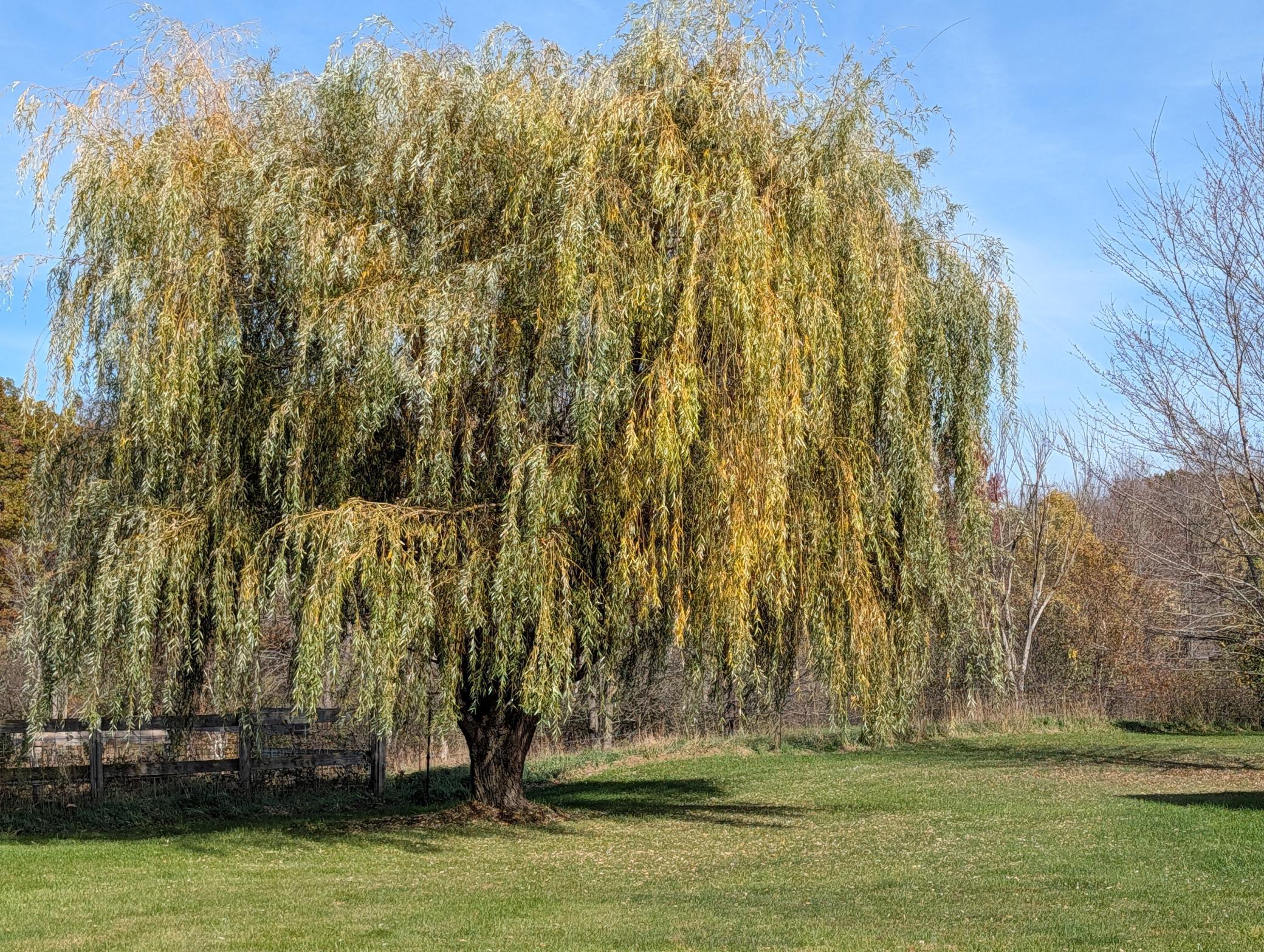 main property photo 10